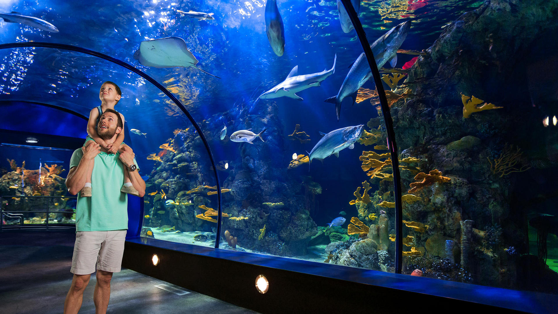 Moody Gardens Galveston