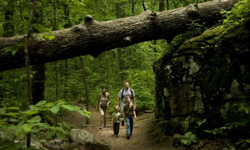 Petit Jean State Park Hiking Trails