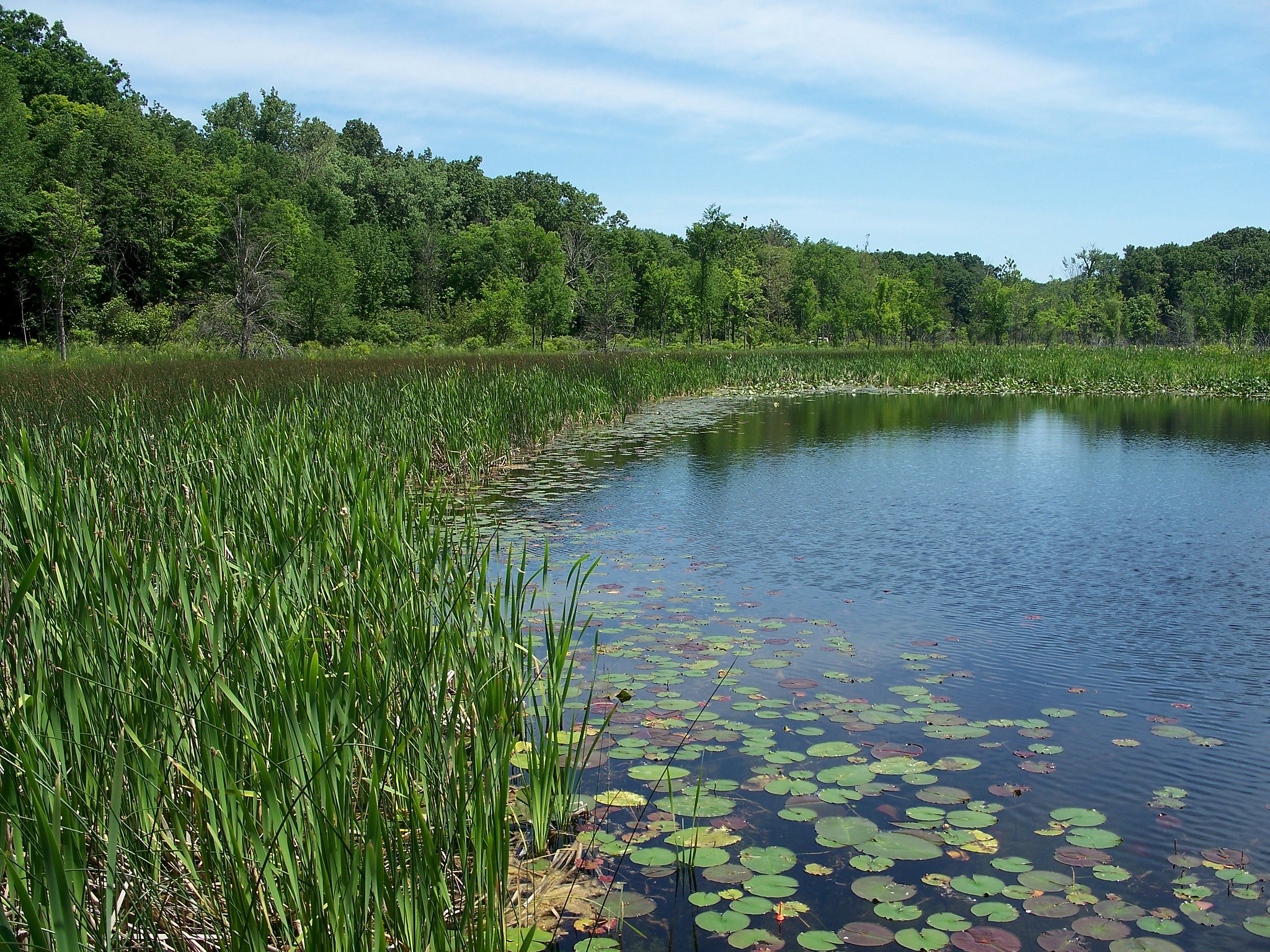 Pokagon State Park Pokagon State Park