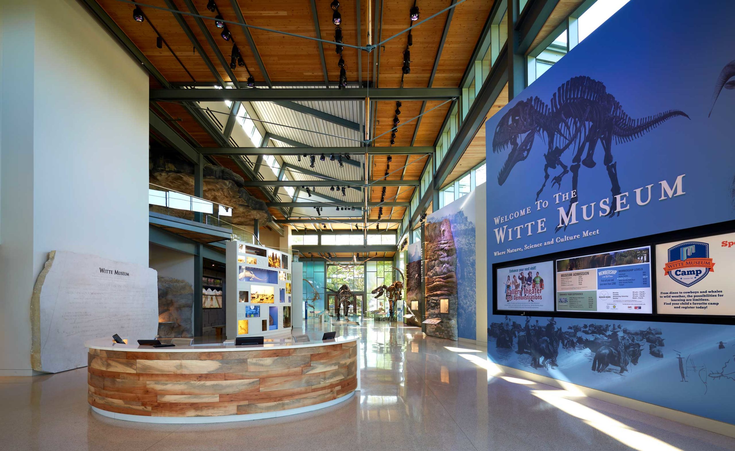 The Witte Museum 