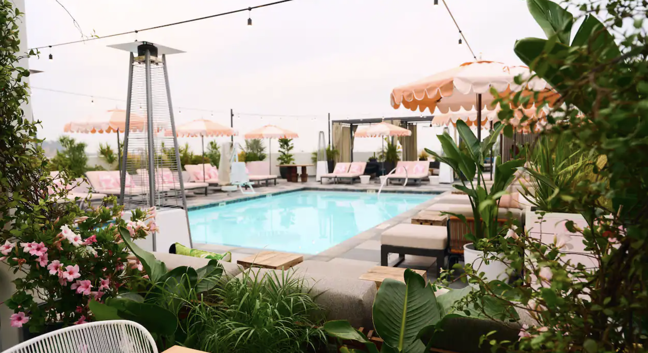 The rooftop pool at The Shay