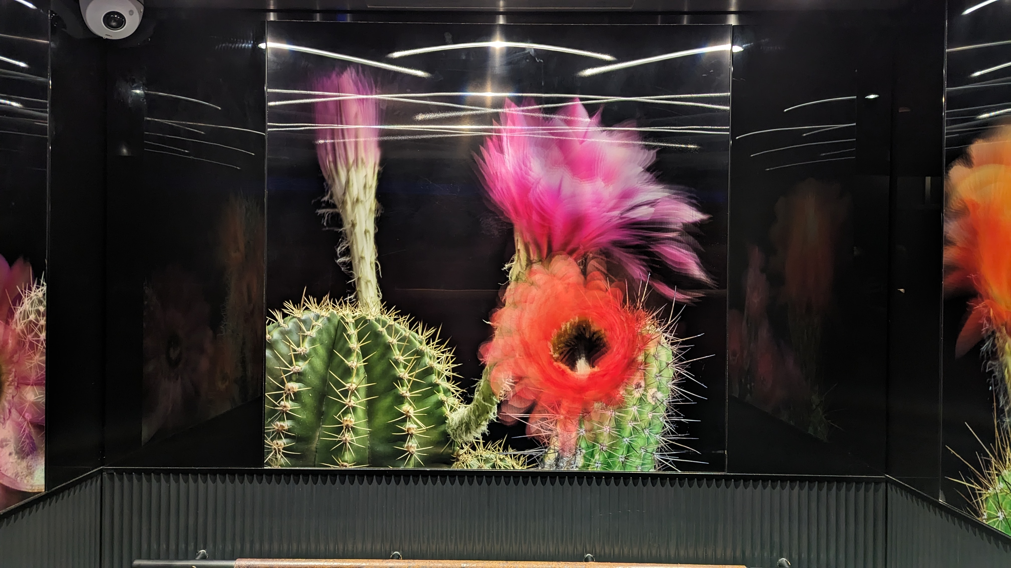 Thompson Austin lenticular elevator art Thompson Austin lenticular elevator art