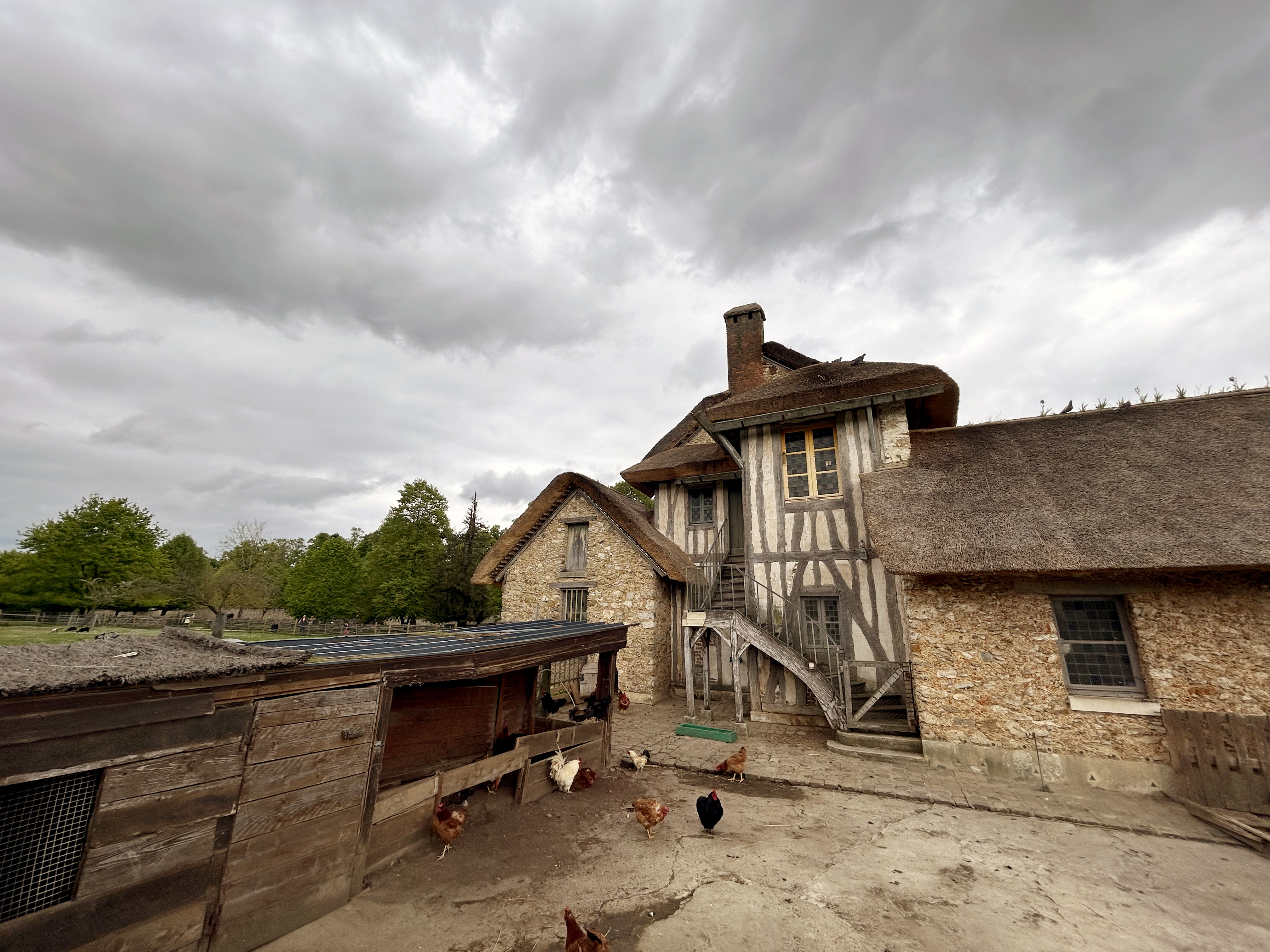 Versailles Gardens Le Petit Hameau chickens Versailles Gardens Le Petit Hameau chickens