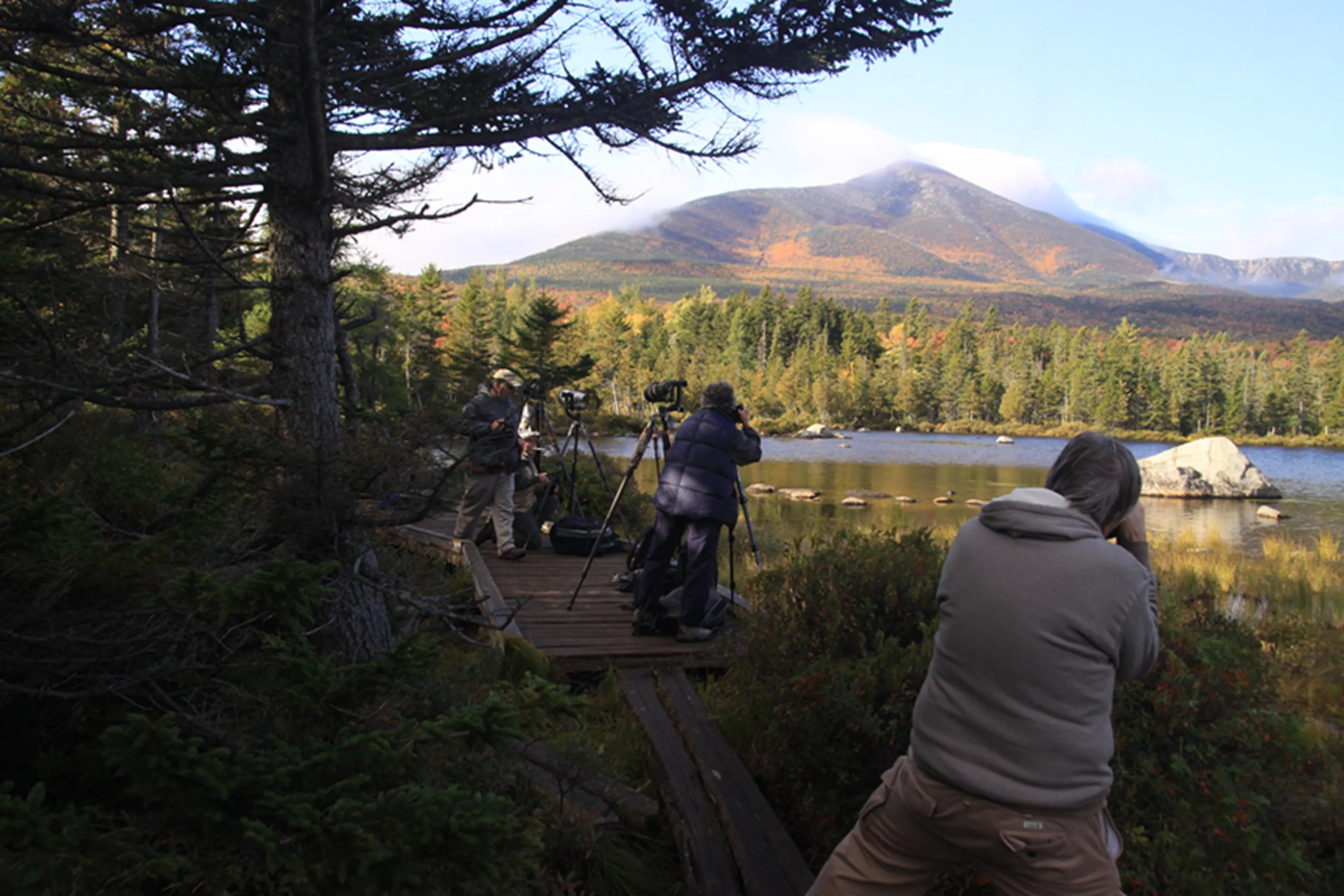 Wildlife Viewing Baxter State Park Wildlife Viewing Baxter State Park