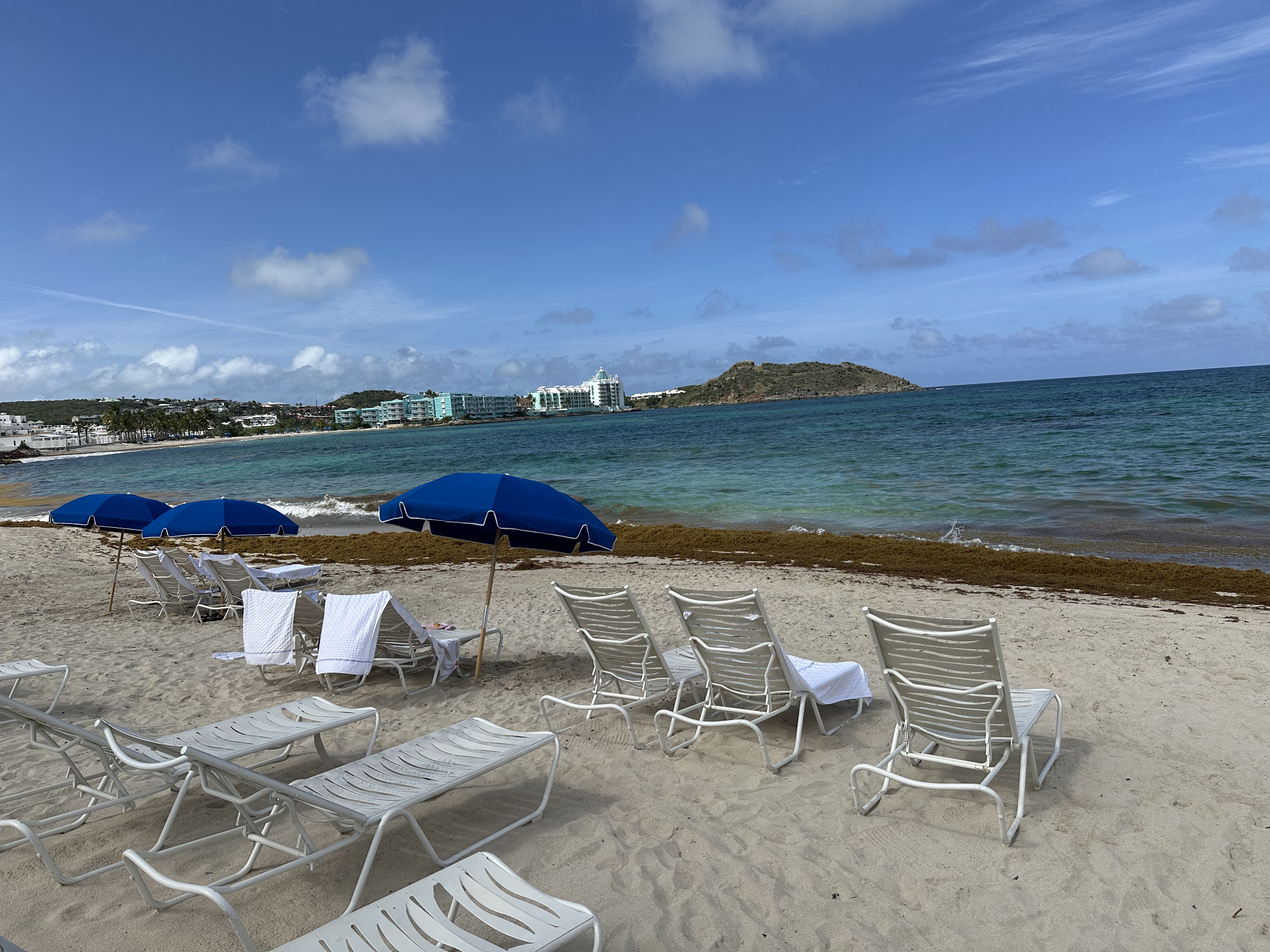 seaweed JW Marriott SXM