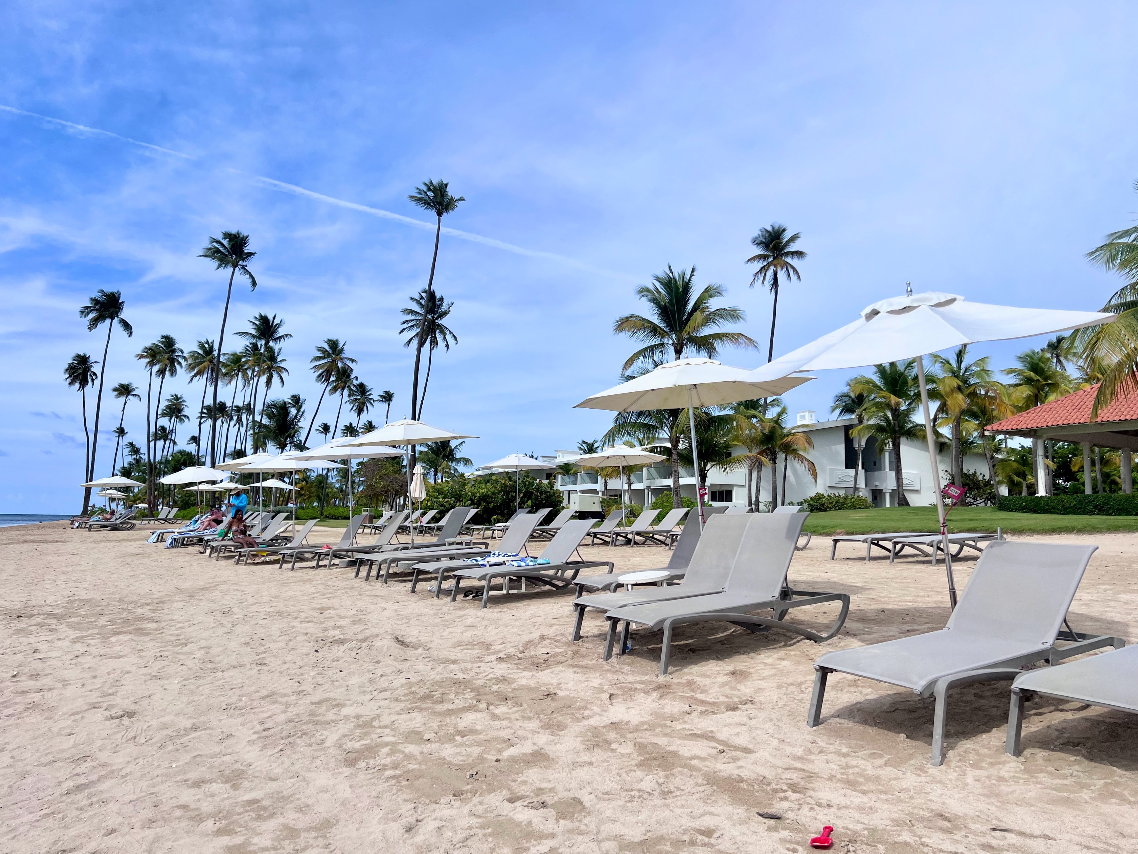 Beach chairs at Hyatt Regency Puerto Rico Beach chairs at Hyatt Regency Puerto Rico