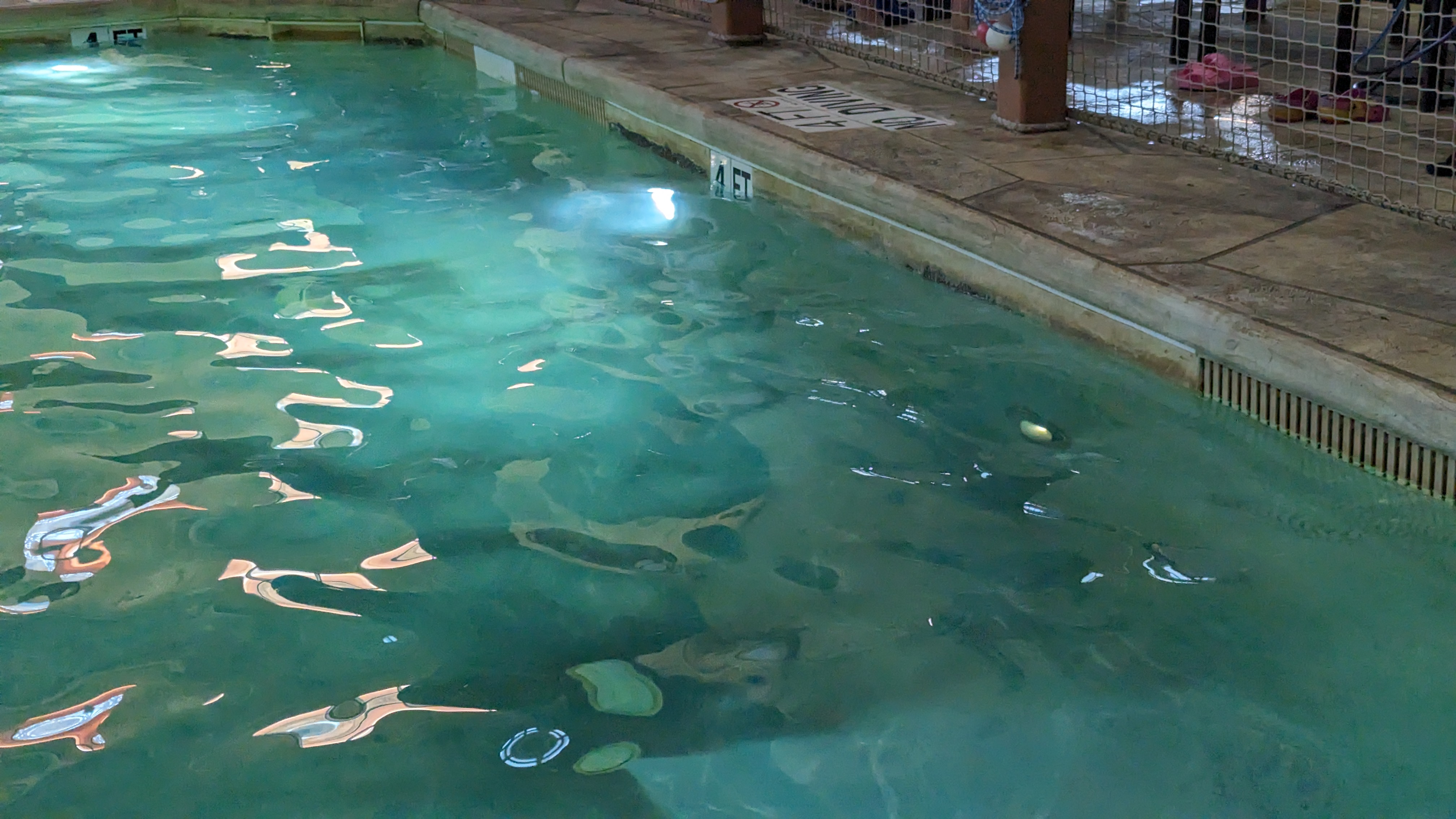 Great Wolf Lodge Grapevine amenities water park pool Great Wolf Lodge Grapevine amenities water park pool