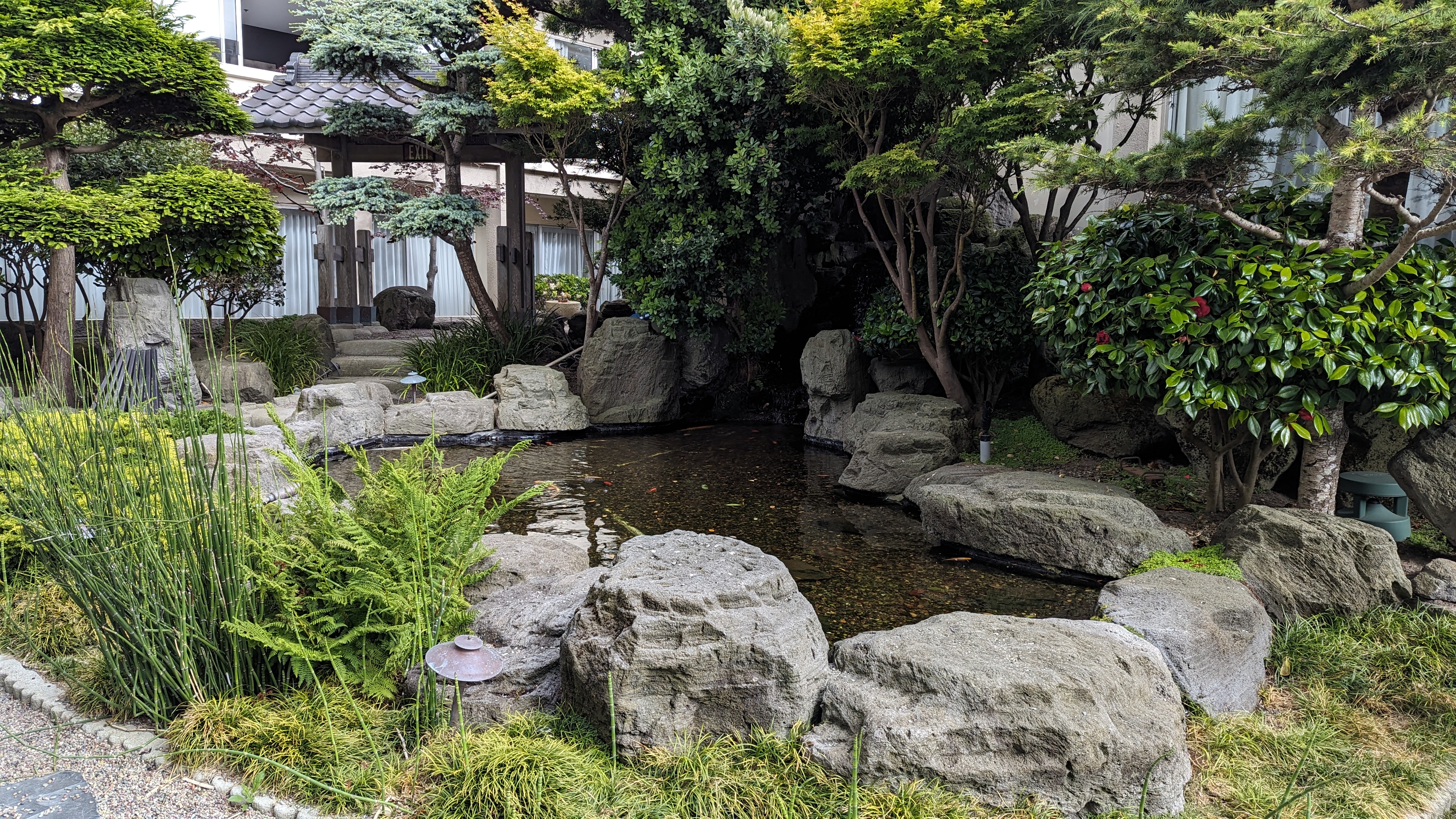 Hotel Kabuki San Francisco amenities garden koi pond Hotel Kabuki San Francisco amenities garden koi pond