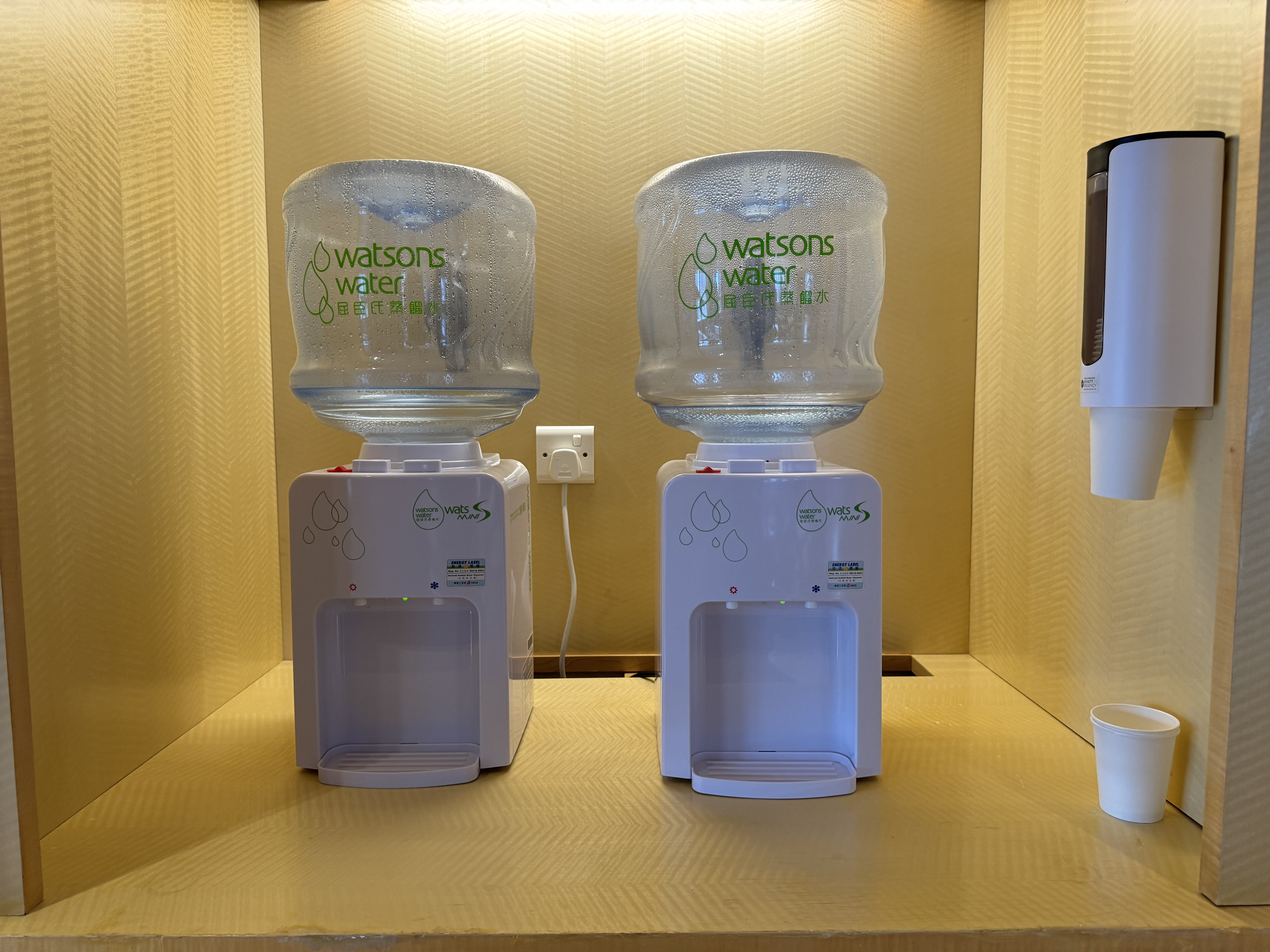 Hyatt Regency Hong Kong Tsim Sha Tsui gym water
