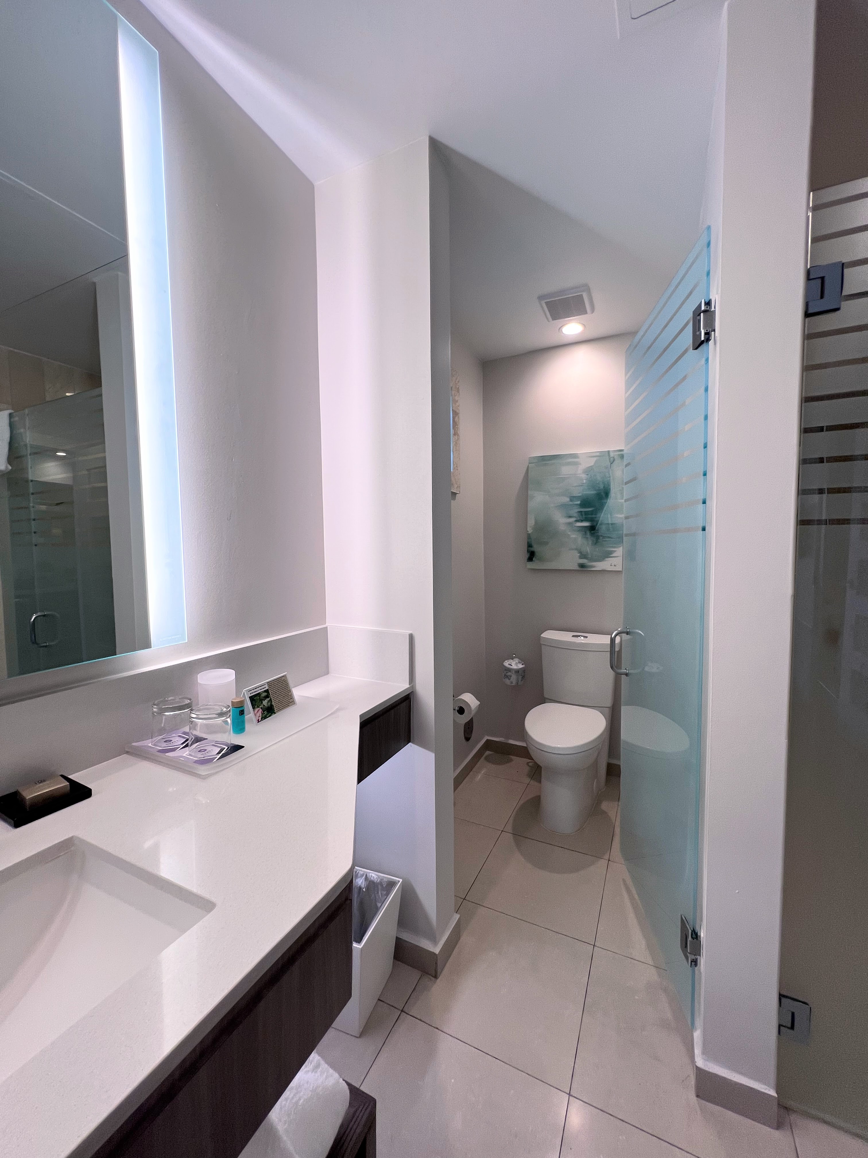 Hyatt Regency Puerto Rico villa bathroom toilet Hyatt Regency Puerto Rico villa bathroom toilet