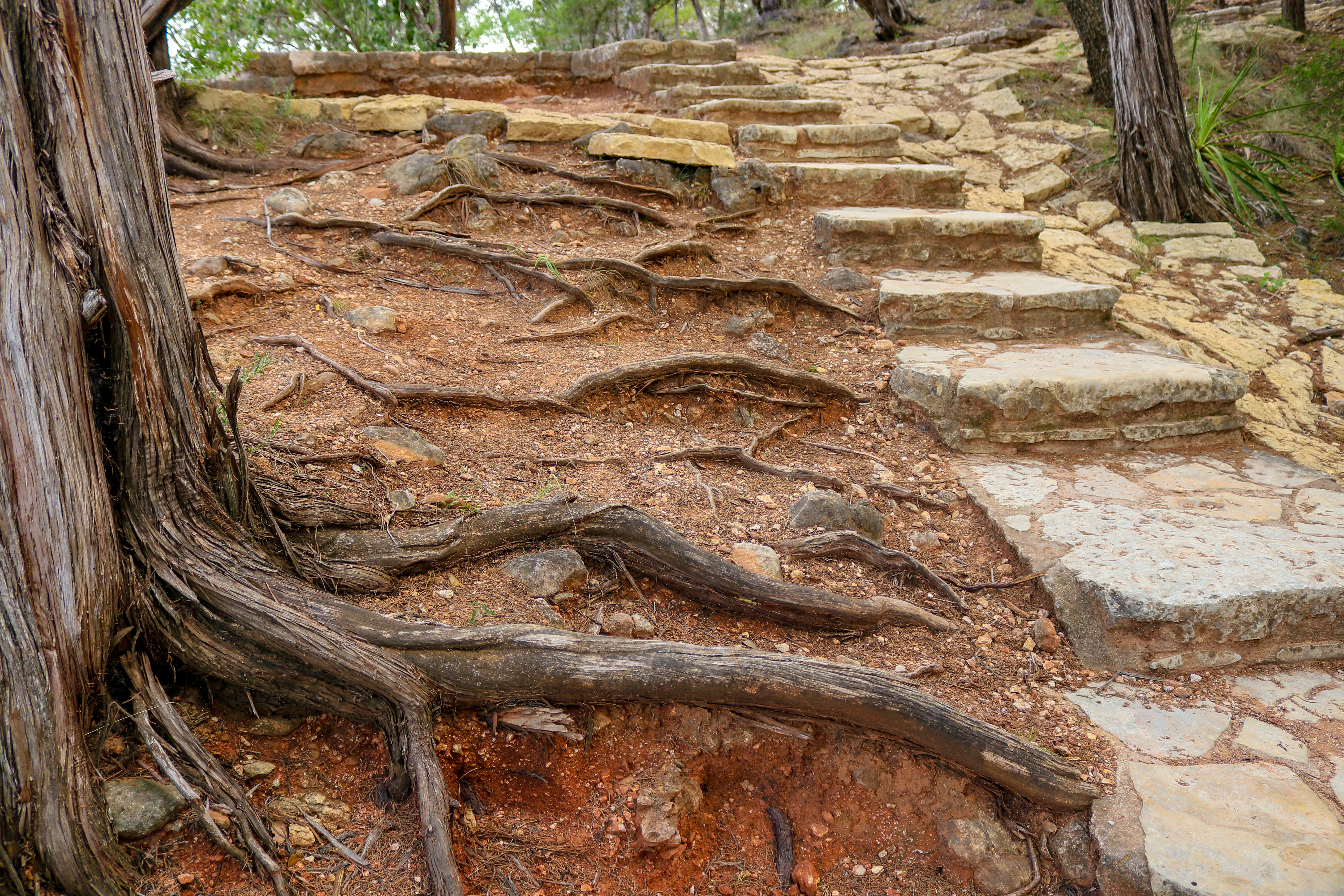 Hiking trail at Pedernales Falls State Park, Texas Hiking trail at Pedernales Falls State Park, Texas