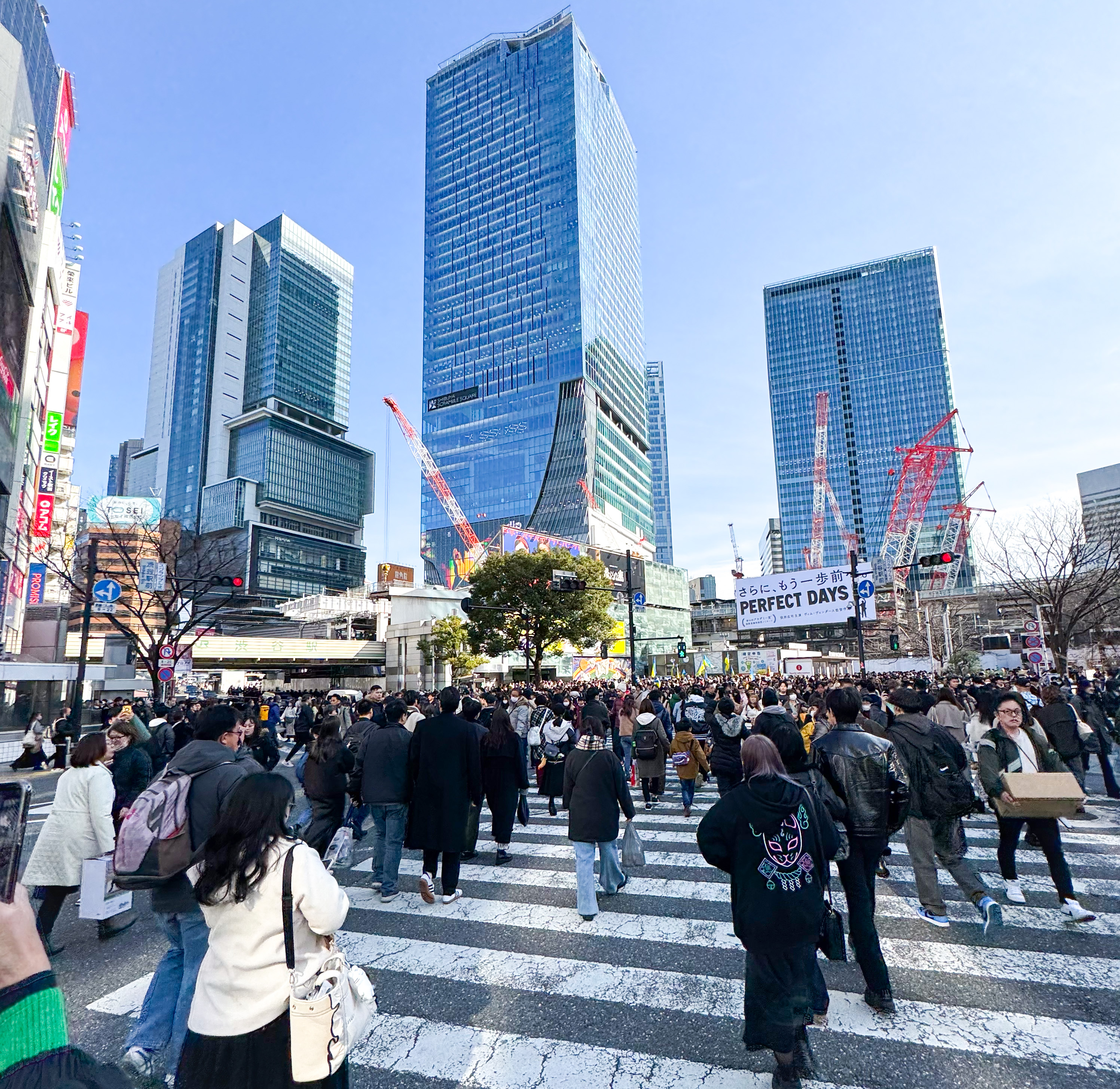 Tokyo Japan Shibuya Shuffle Tokyo Japan Shibuya Shuffle