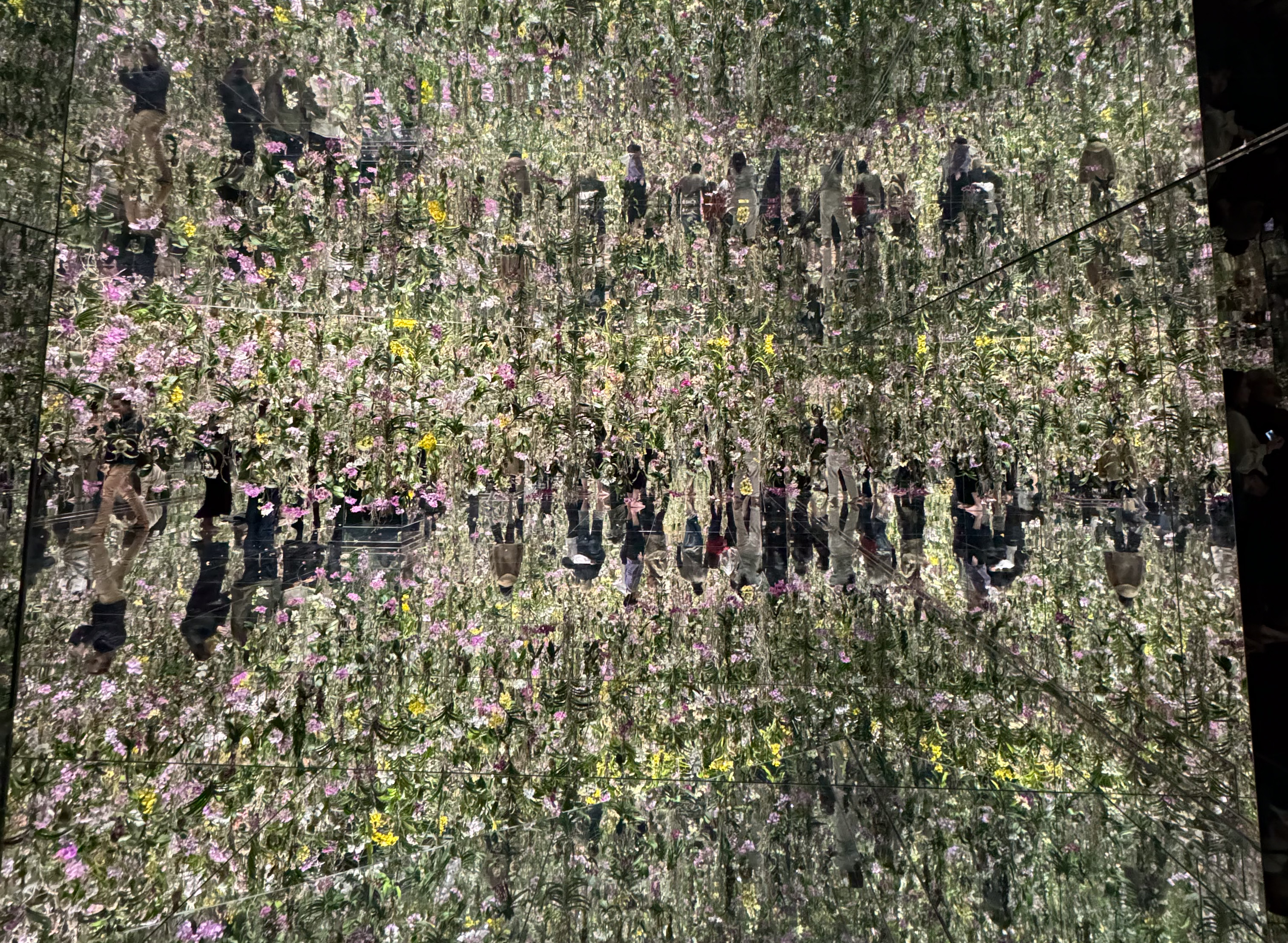 Tokyo Japan TeamLab Planets garden Tokyo Japan TeamLab Planets garden