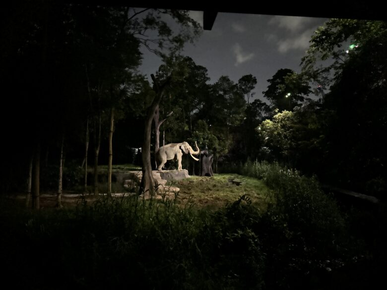 Singapore's Night Safari