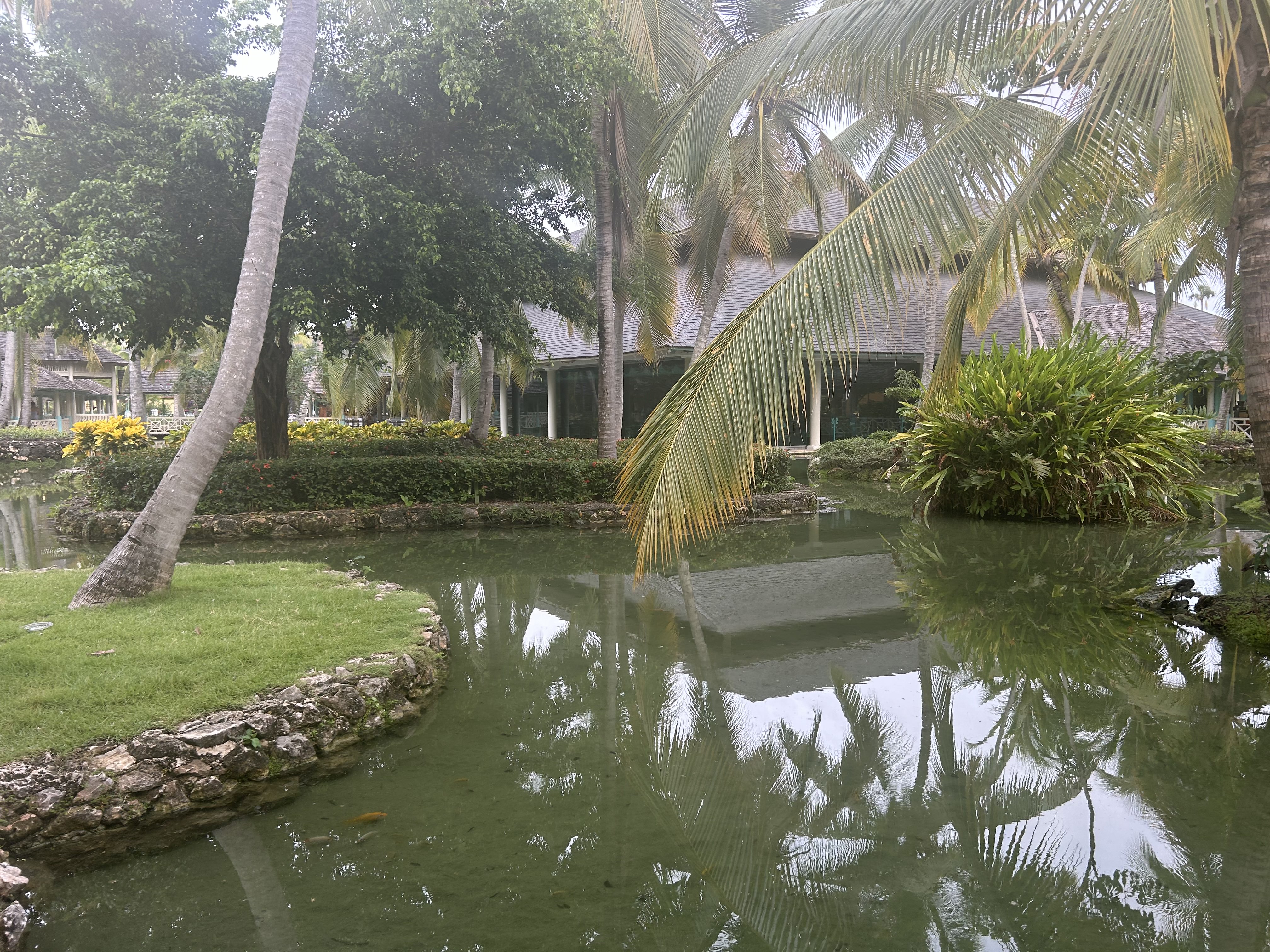 Iberostar Selection Bavaro Suites lake and palm trees Iberostar Selection Bavaro Suites flora