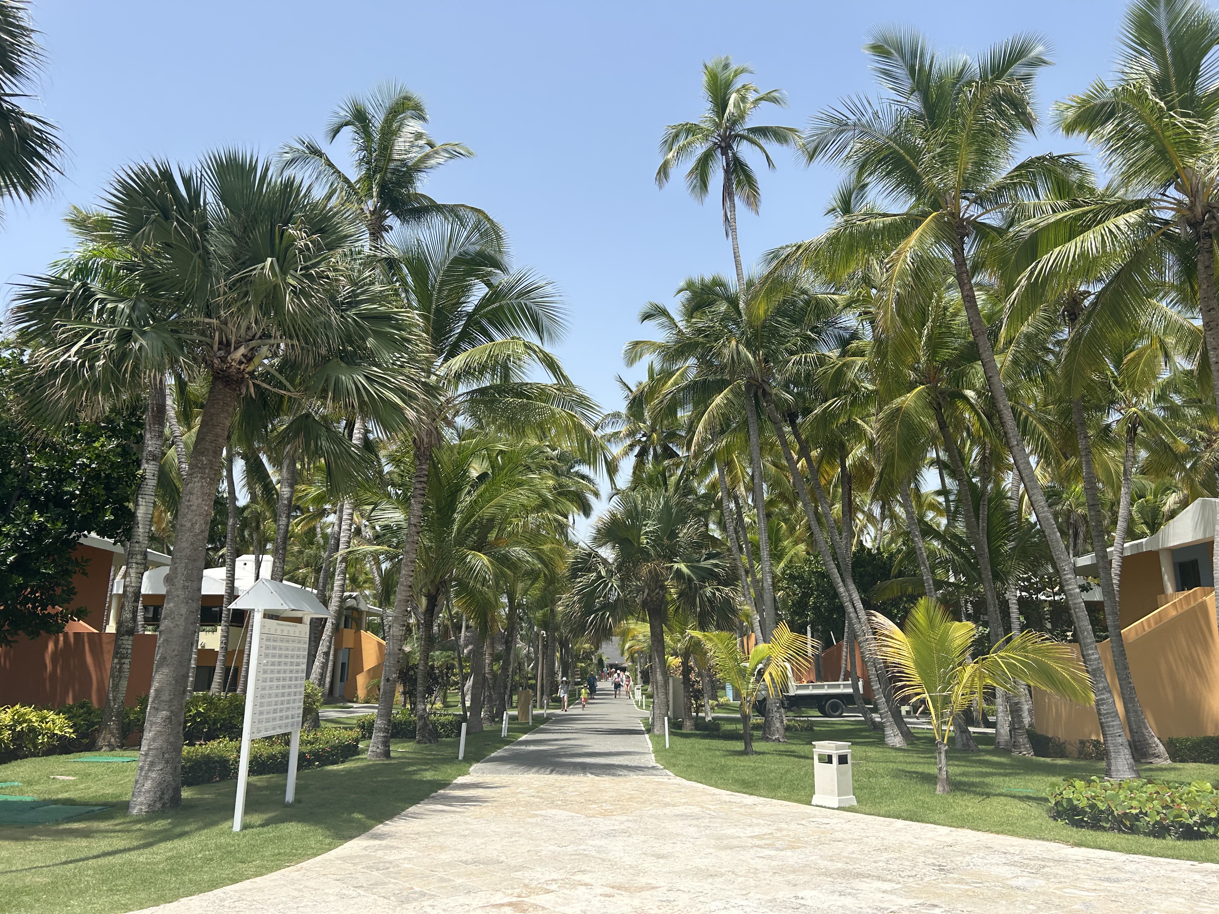 Iberostar Selection Bavaro Suites main drag