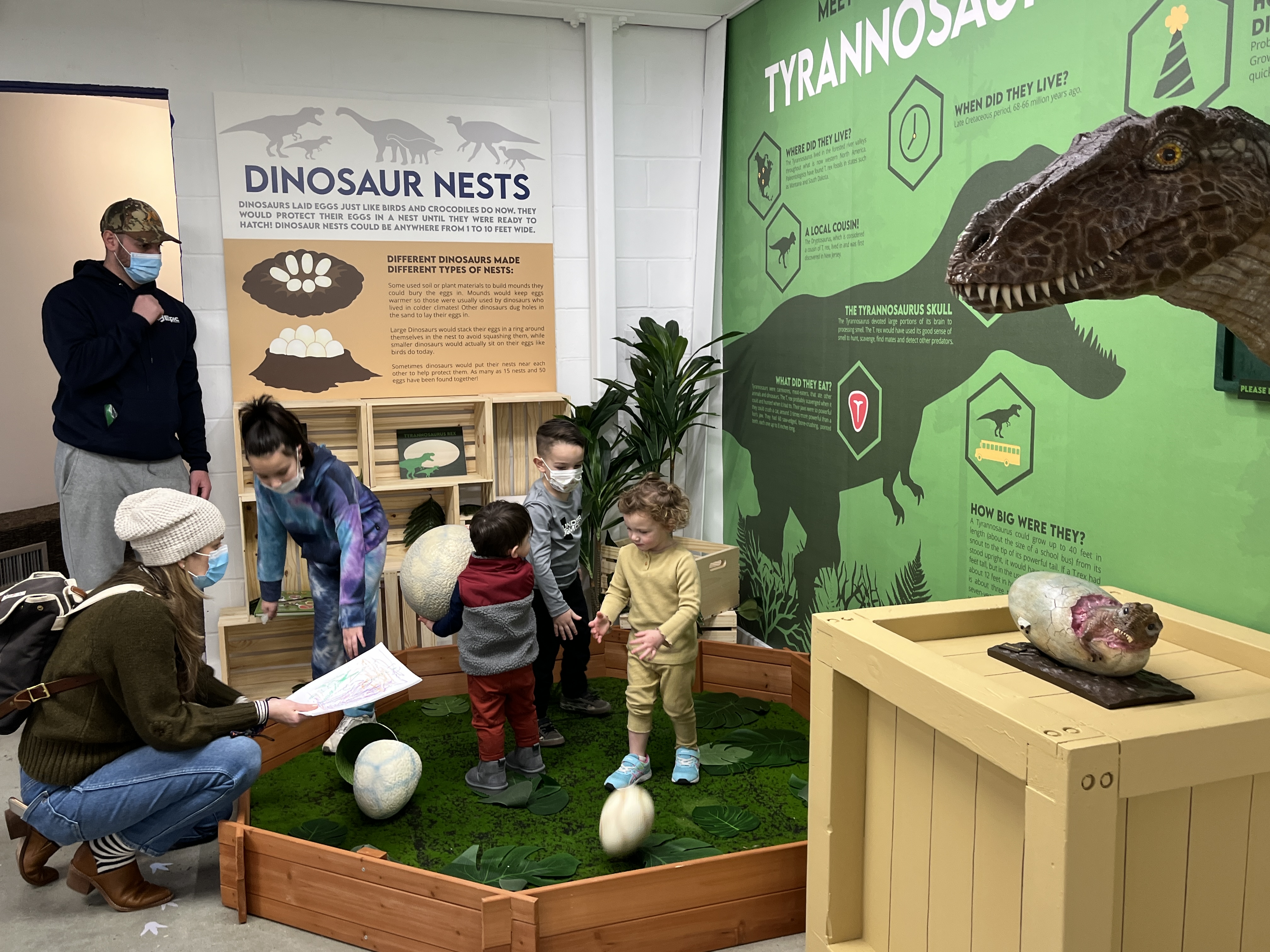 Monmouth Museum