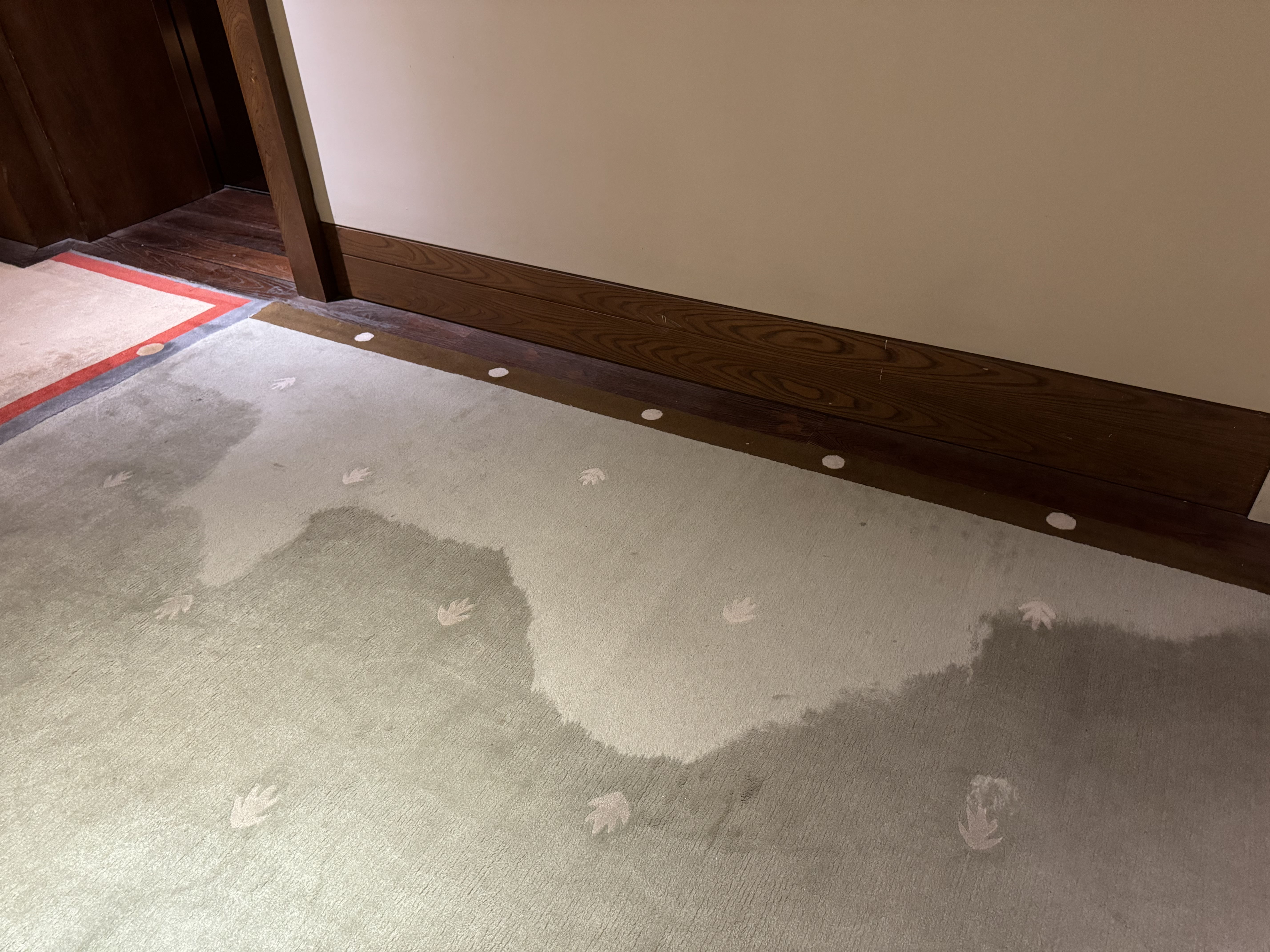 St Regis Lhasa carpet stains in hallway St Regis Lhasa carpet stains in hallway