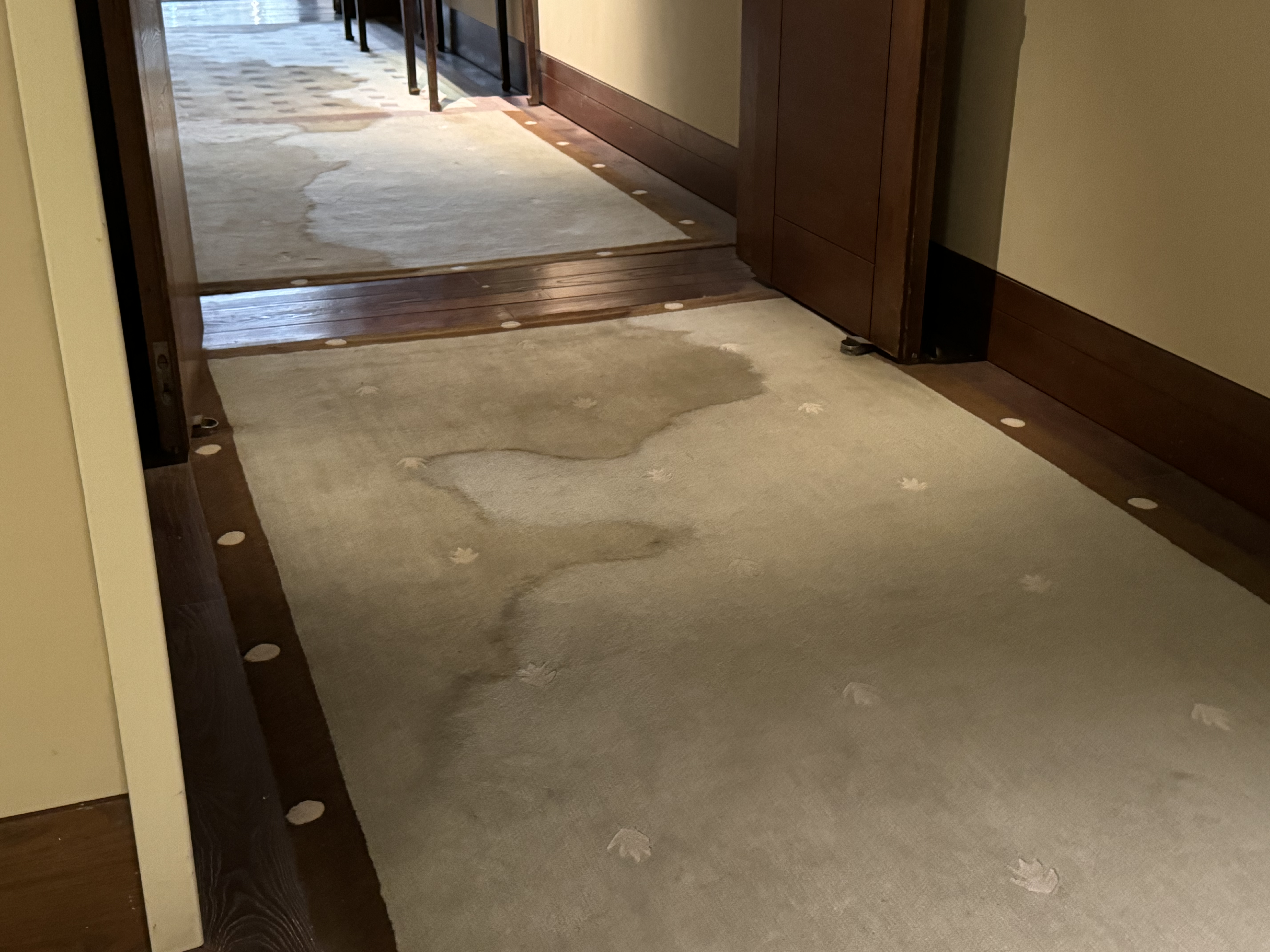 St Regis Lhasa carpet stains near elevator St Regis Lhasa carpet stains near elevator