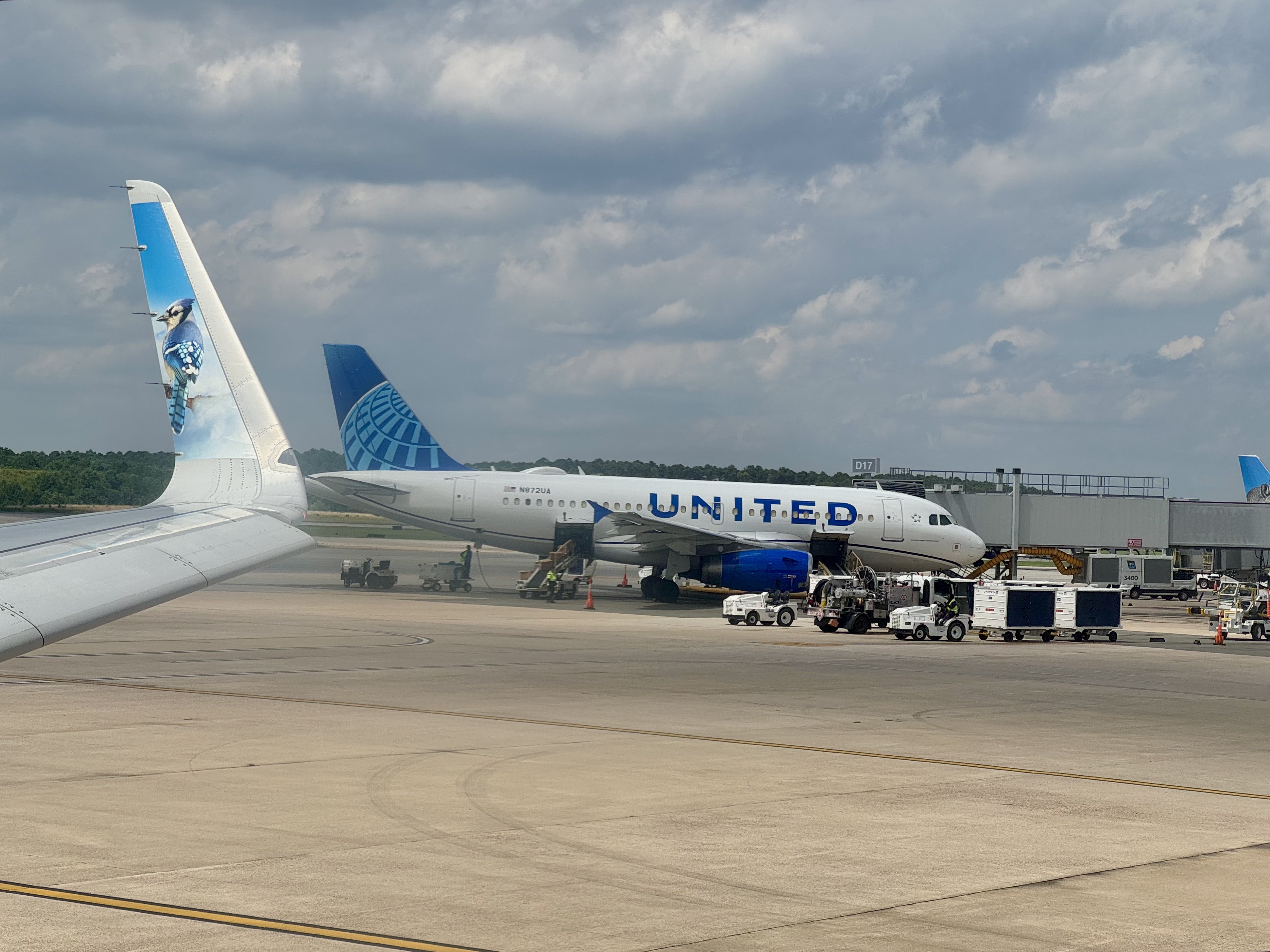 United Airlines Domestic Flight United Airlines Domestic Flight