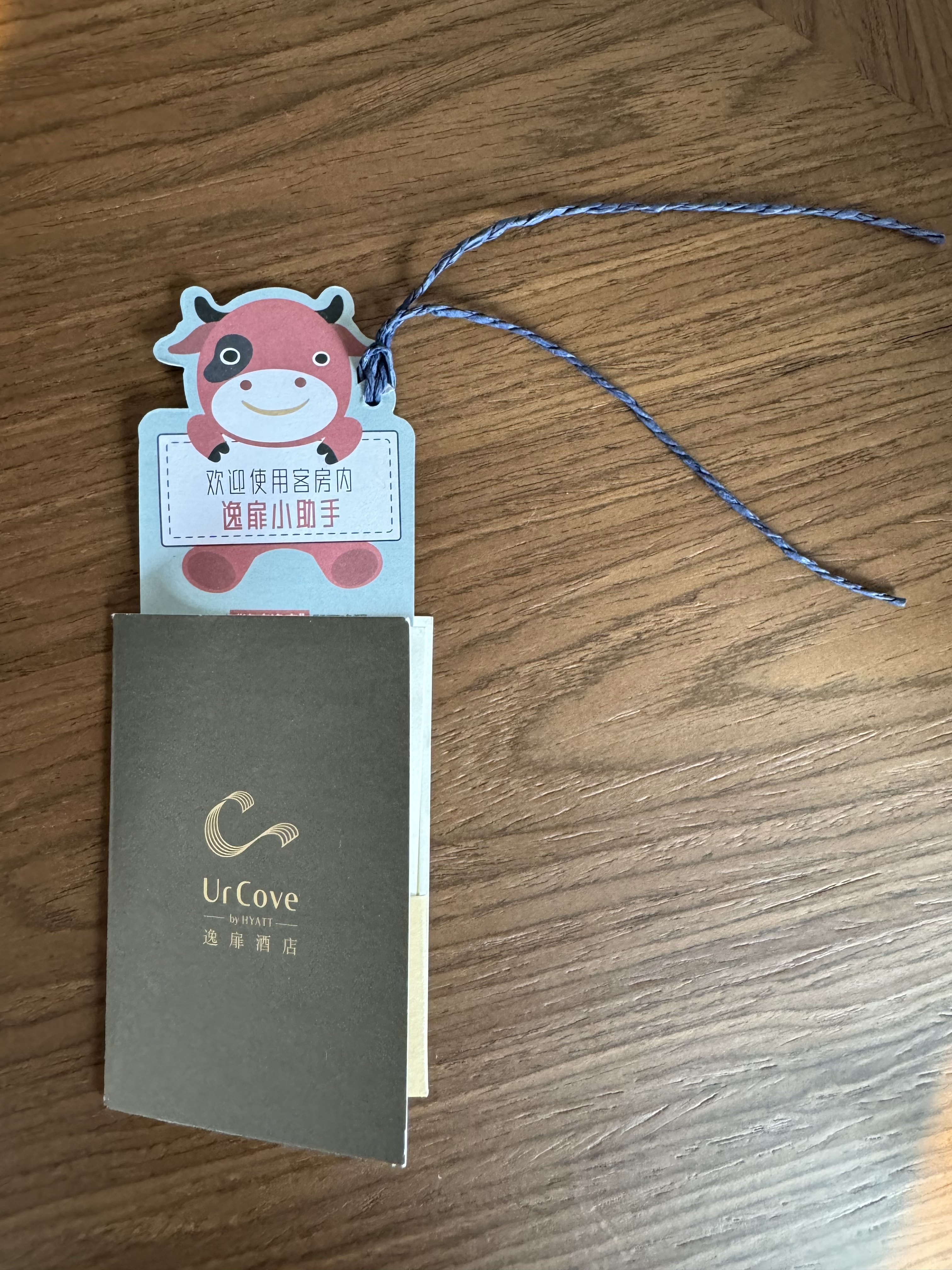 UrCove Chengdu Wenshu Monastery Taikoo Li key holder UrCove Chengdu Wenshu Monastery Taikoo Li key holder