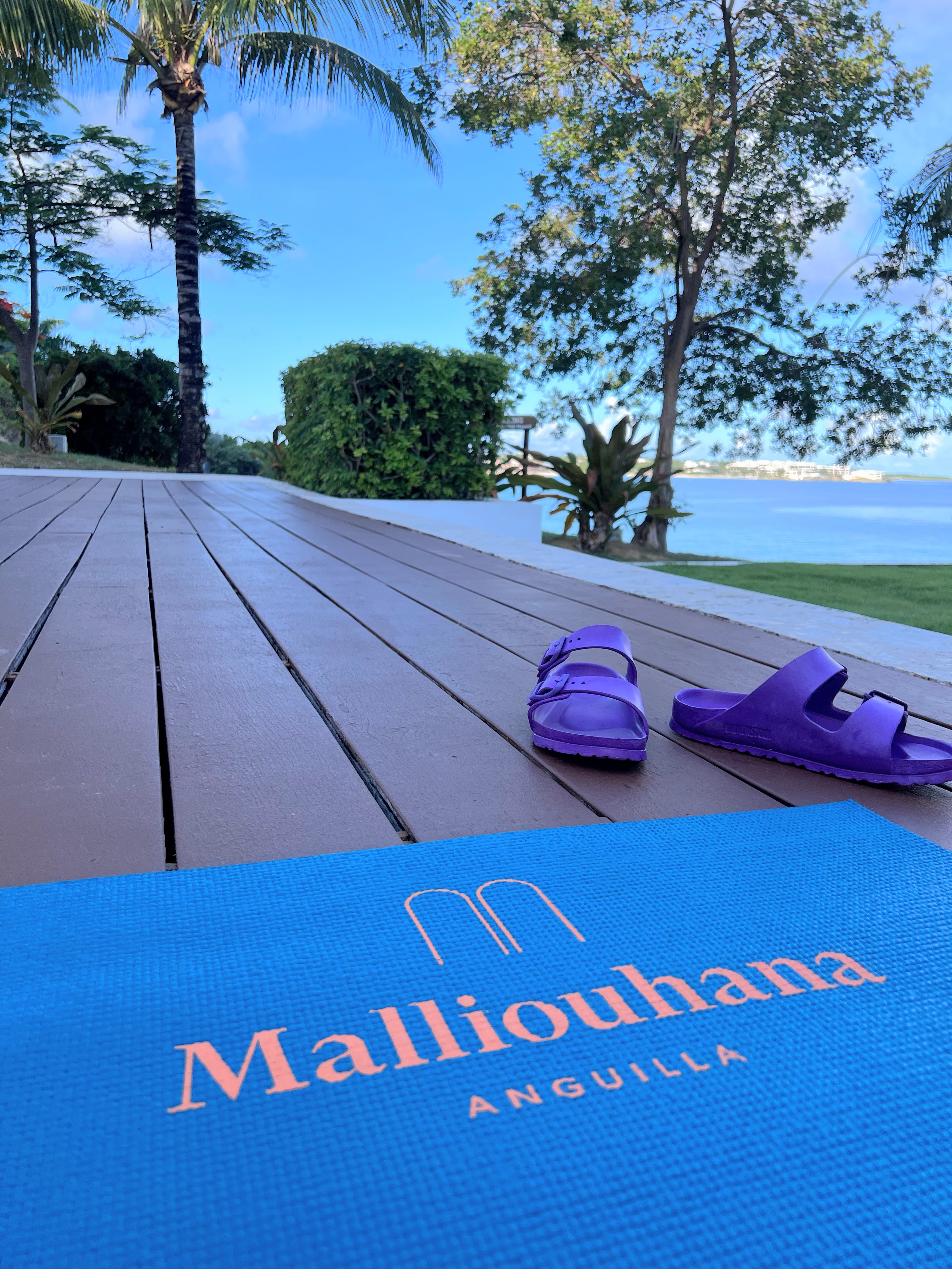 Yoga at Malliouhana Anguilla Yoga at Malliouhana Anguilla