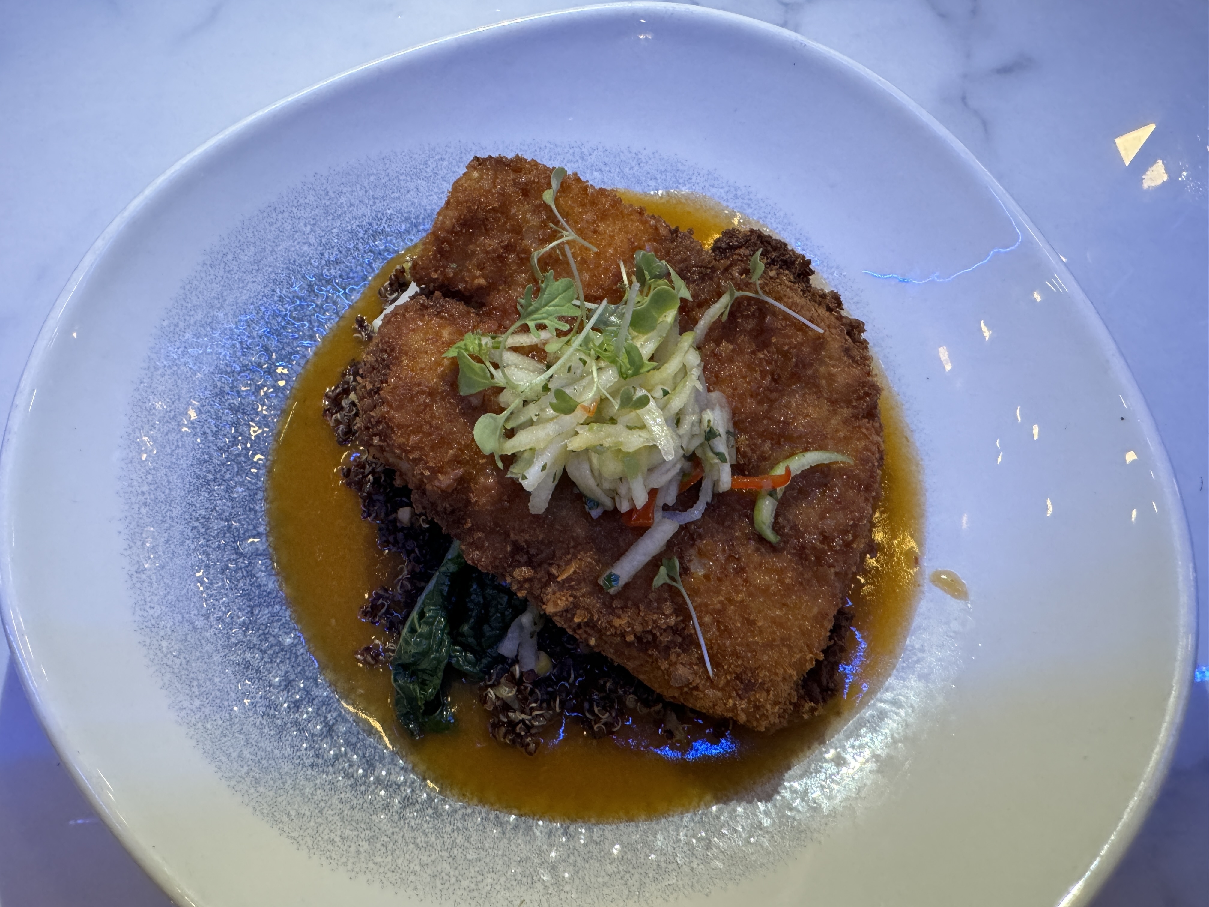 Atardi Aruba Marriott Grouper Atardi Aruba Marriott Grouper