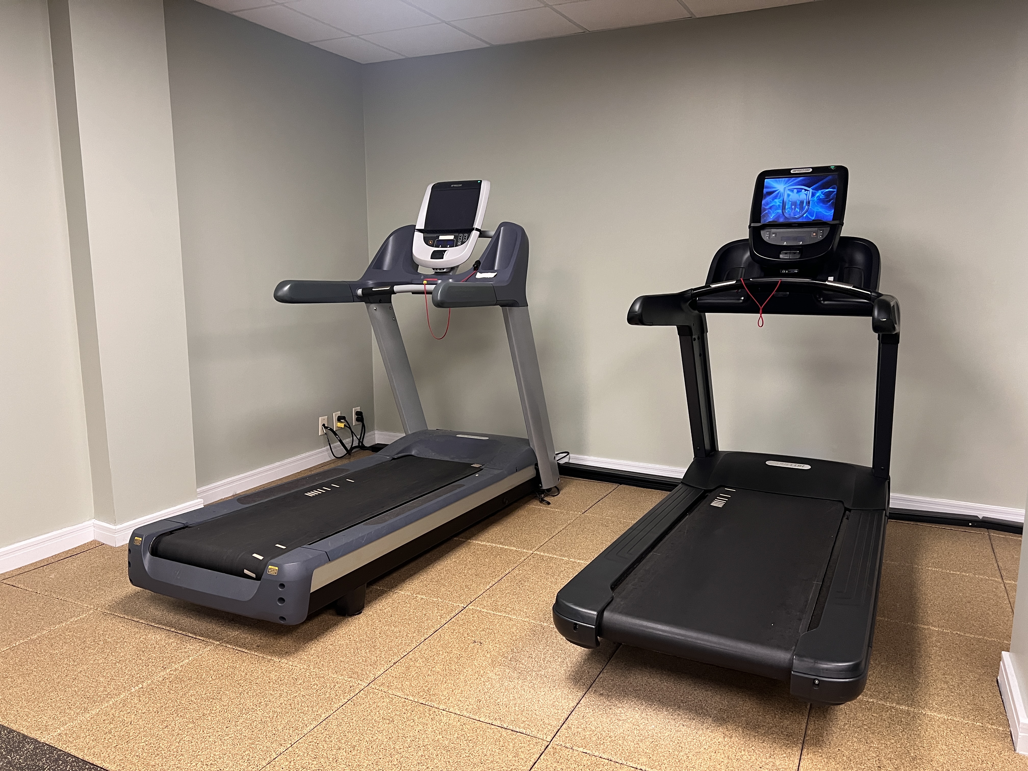 DoubleTree Fallsview Resort Spa by Hilton Niagara Falls fitness room treadmills DoubleTree Fallsview Resort Spa by Hilton Niagara Falls fitness room treadmills