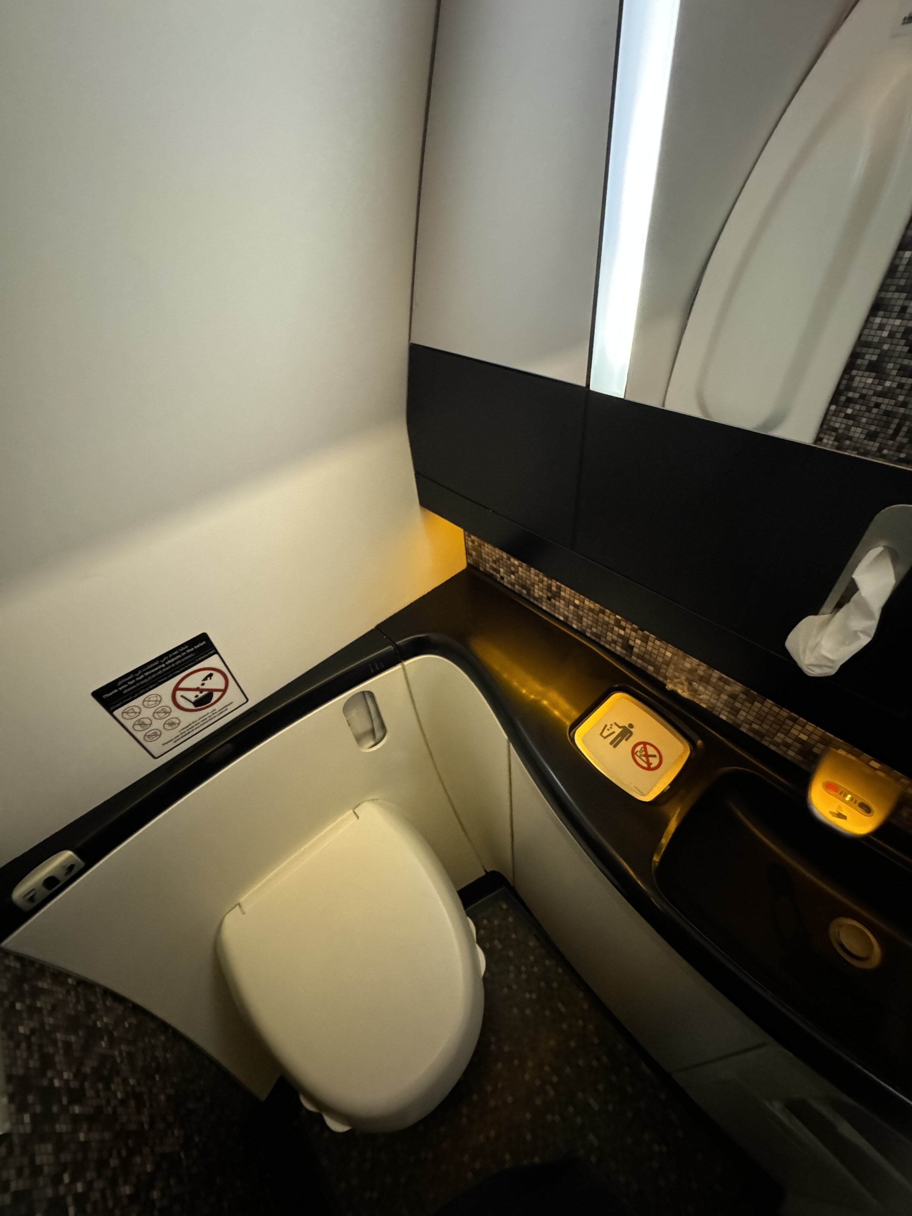 Etihad B787 9 Economy KIX AUH lavatory