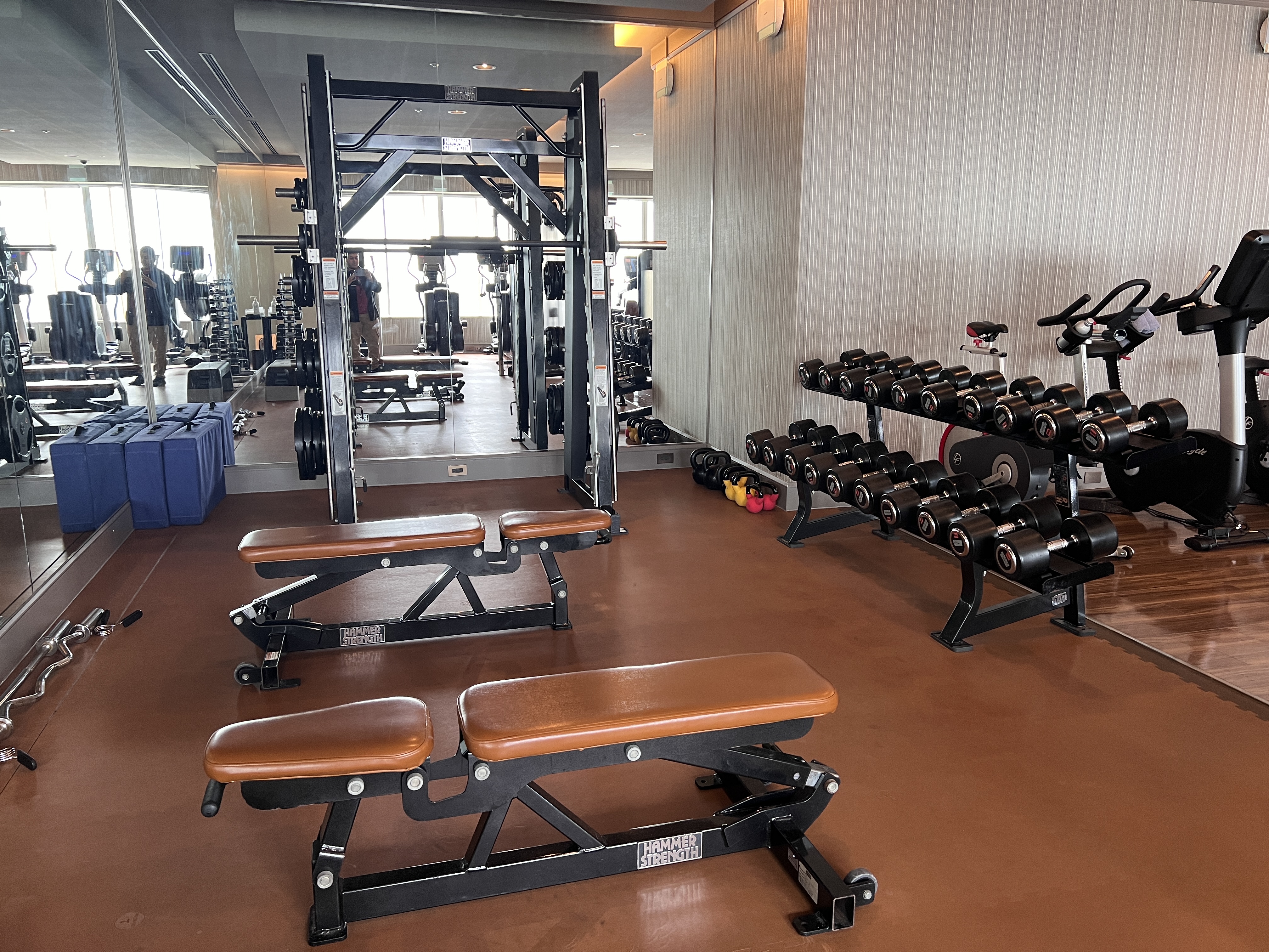 Ritz Carlton Tokyo fitness center free weights Ritz Carlton Tokyo fitness center free weights