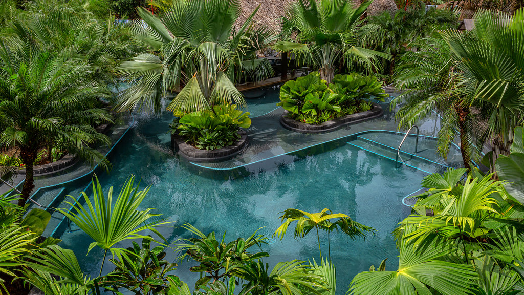 Tabacon pool Jungle themed pool at Tabacón Resort