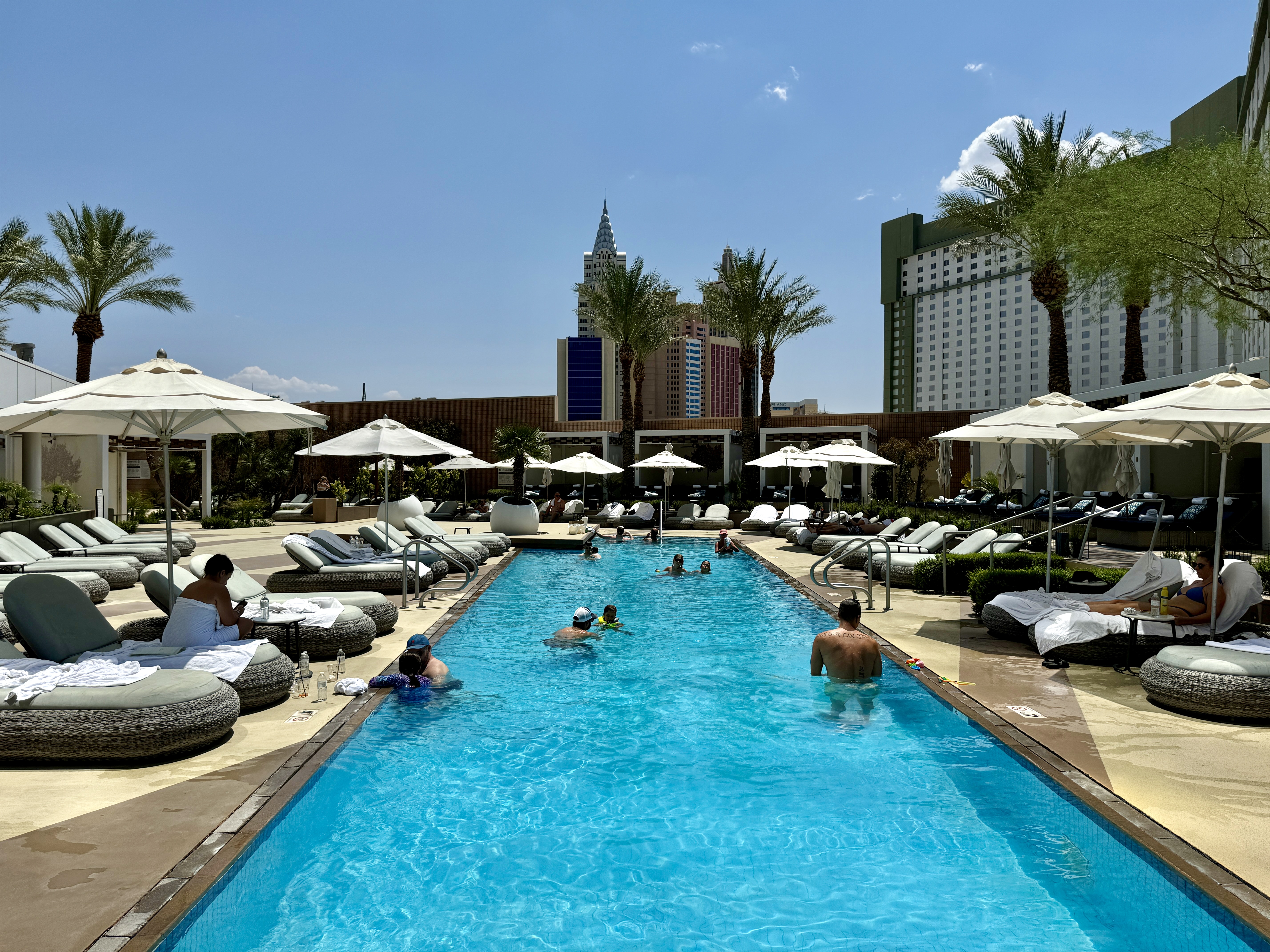 Waldorf Astoria Las Vegas Family Pool With NY NY View