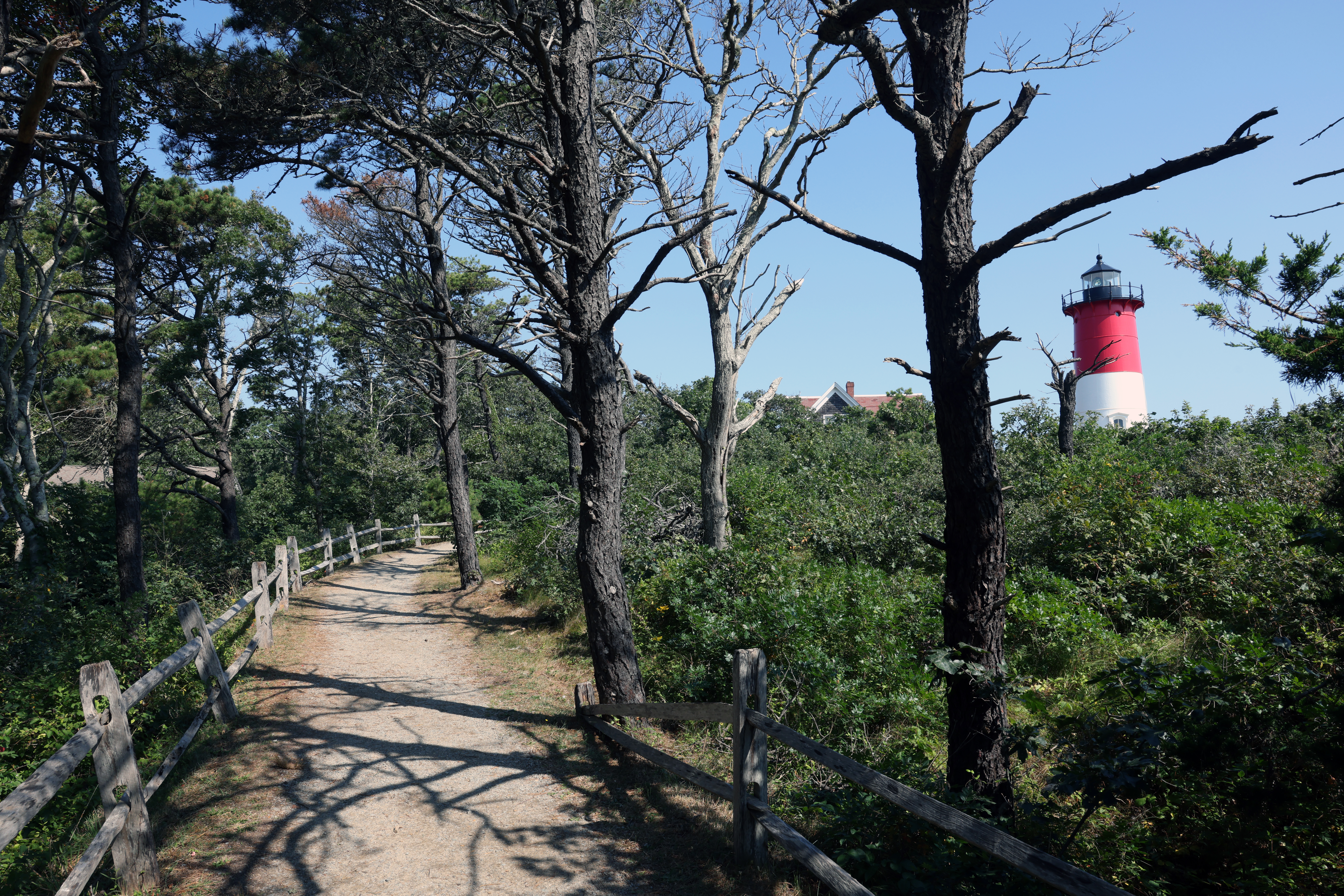 Cape cod nauset light wood trail lighthouse Cape cod nauset light wood trail lighthouse