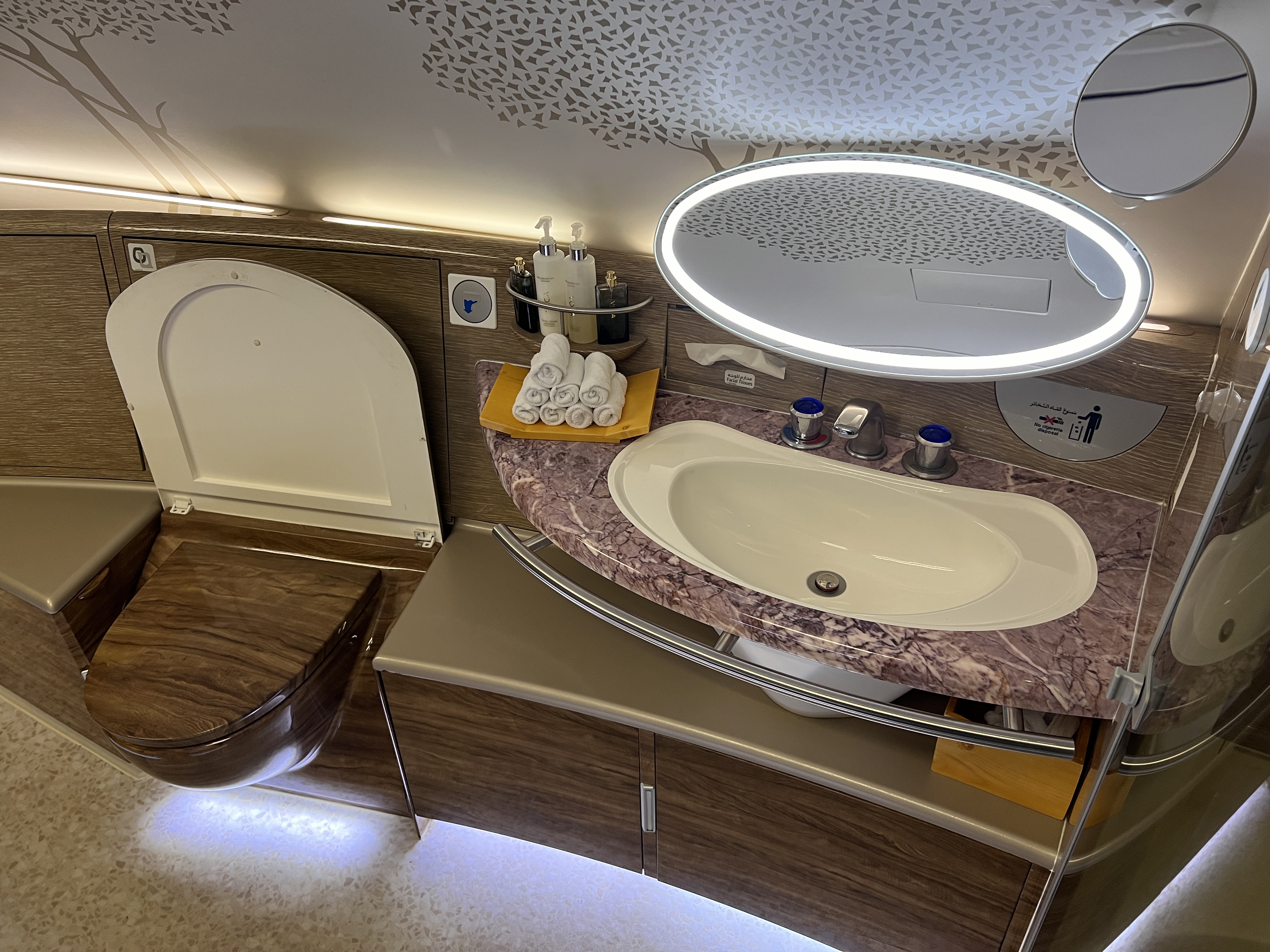 Emirates First A380 toilet Emirates First A380 toilet and sink