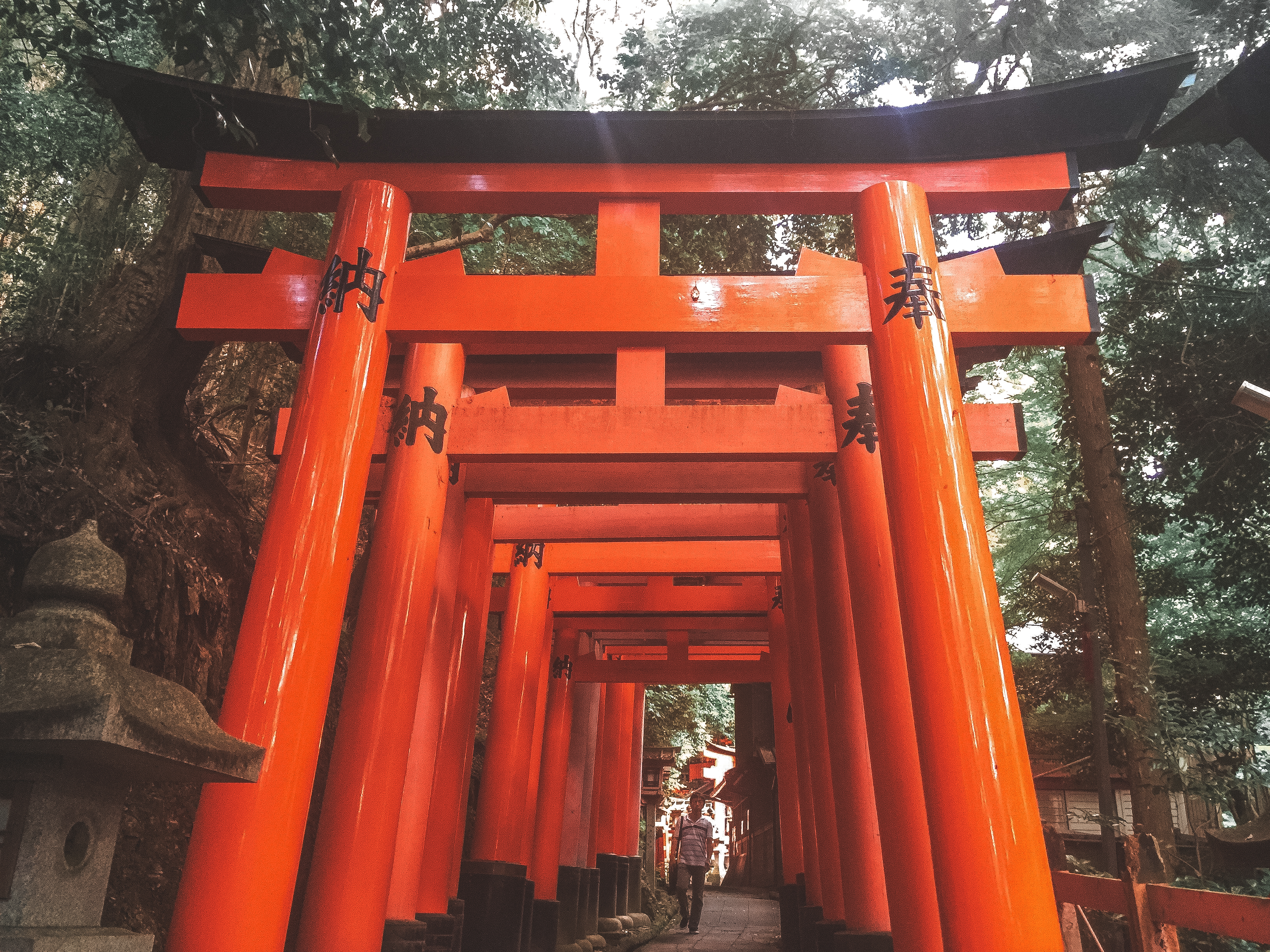Fushimi Inari Taisha gates