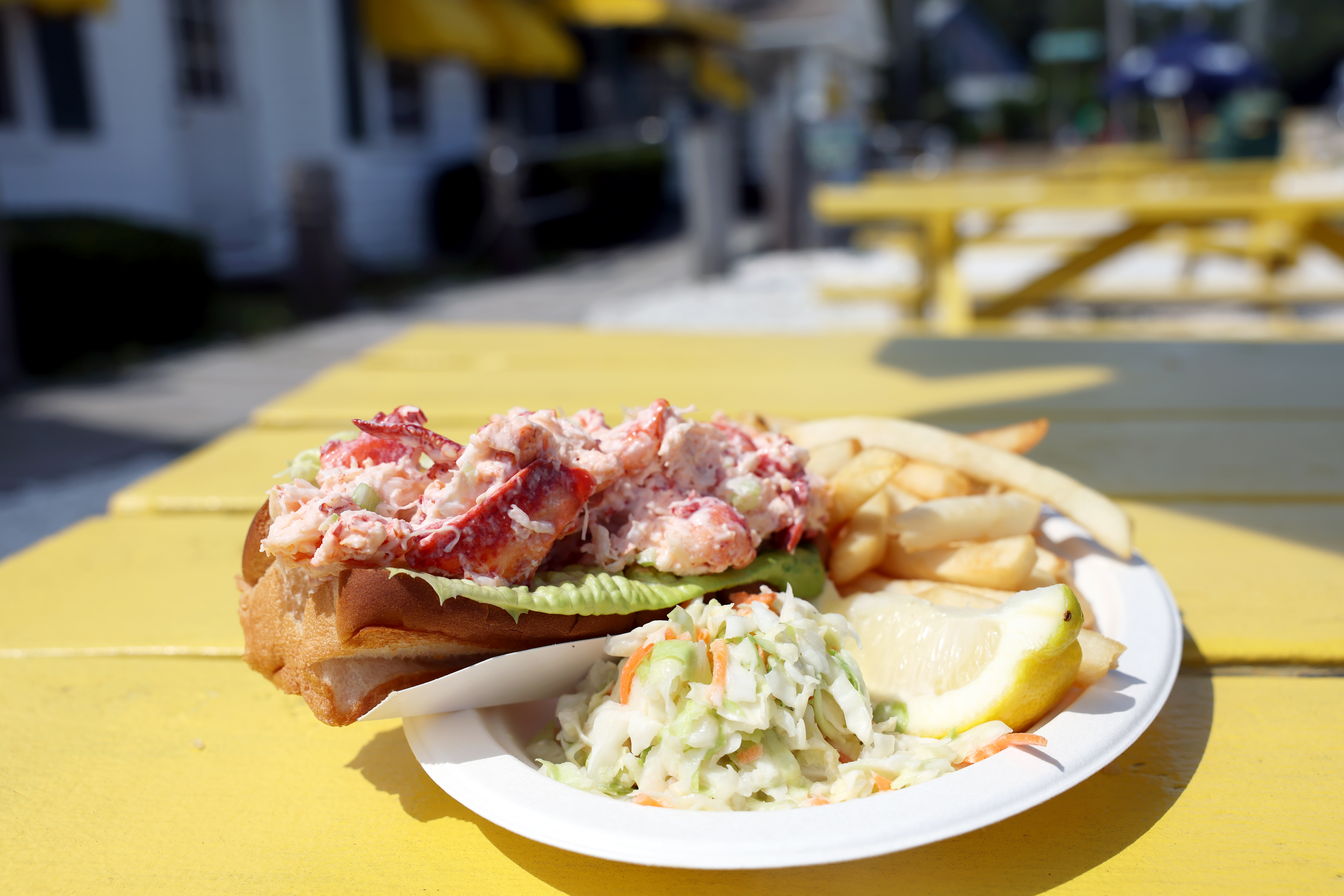 cape cod lobster roll lg cape cod lobster roll lg
