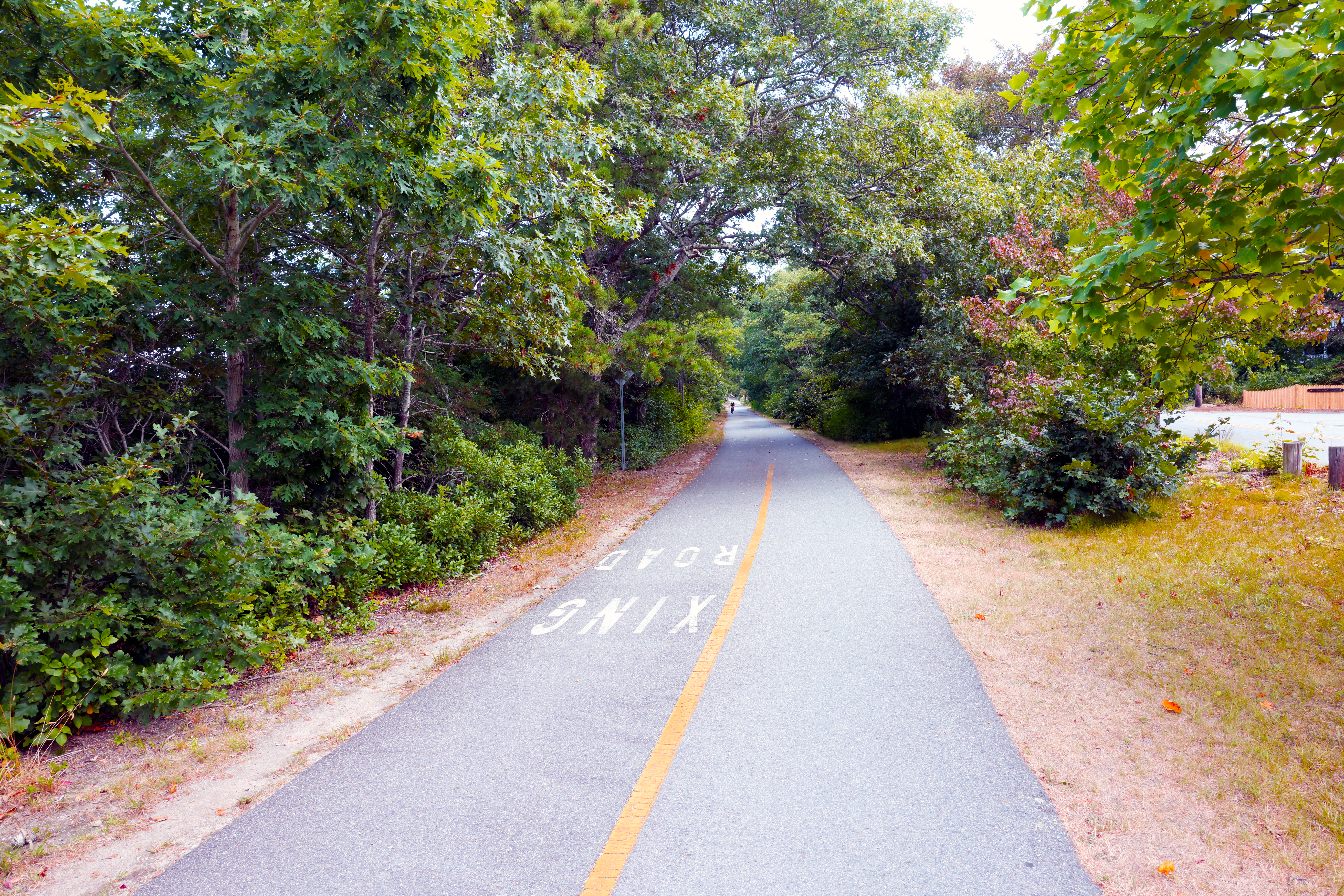 cape cod rail trail bike path cape cod rail trail bike path