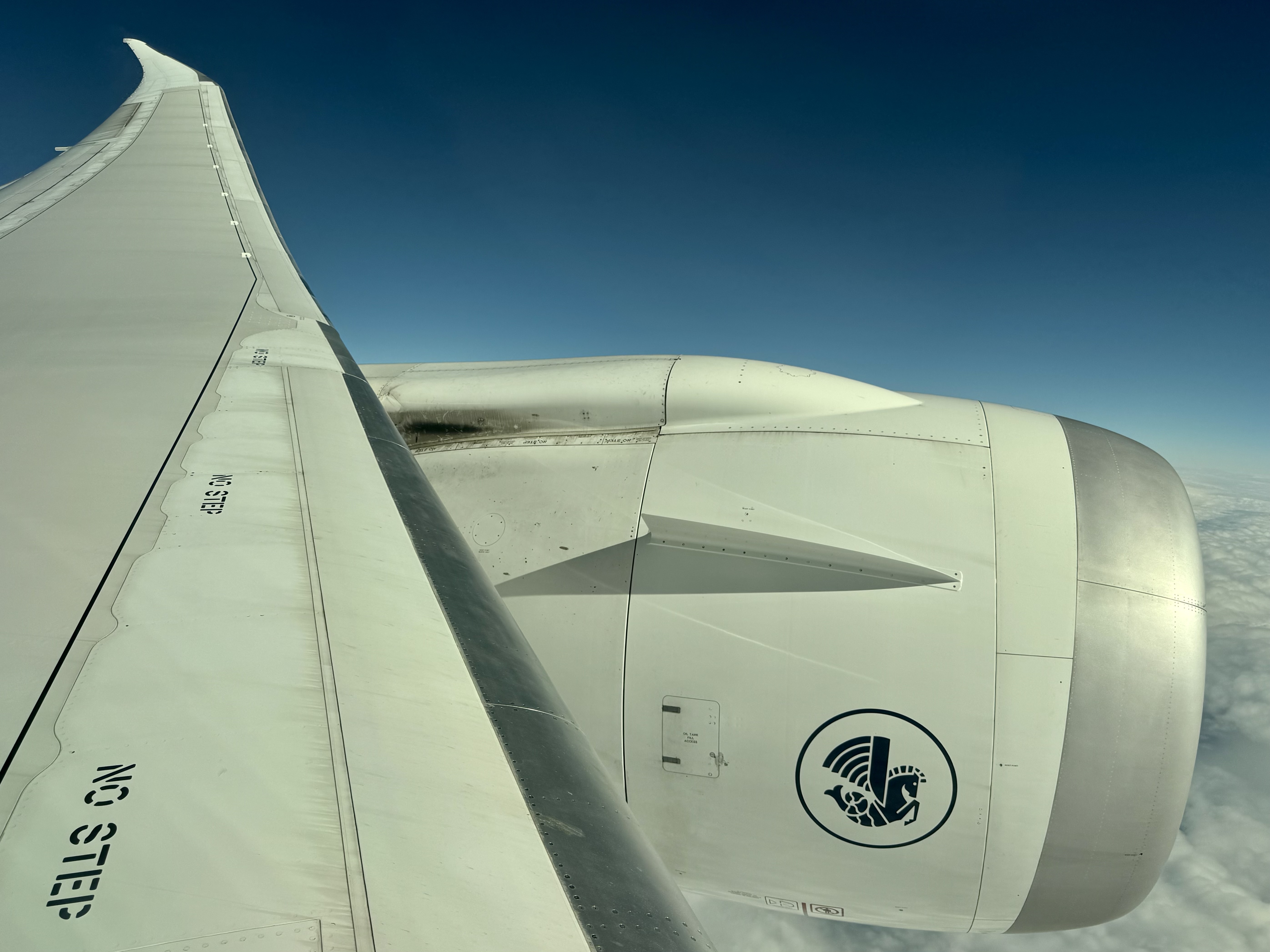 Air France Boeing 789 wing view Air France Boeing 789 wing view