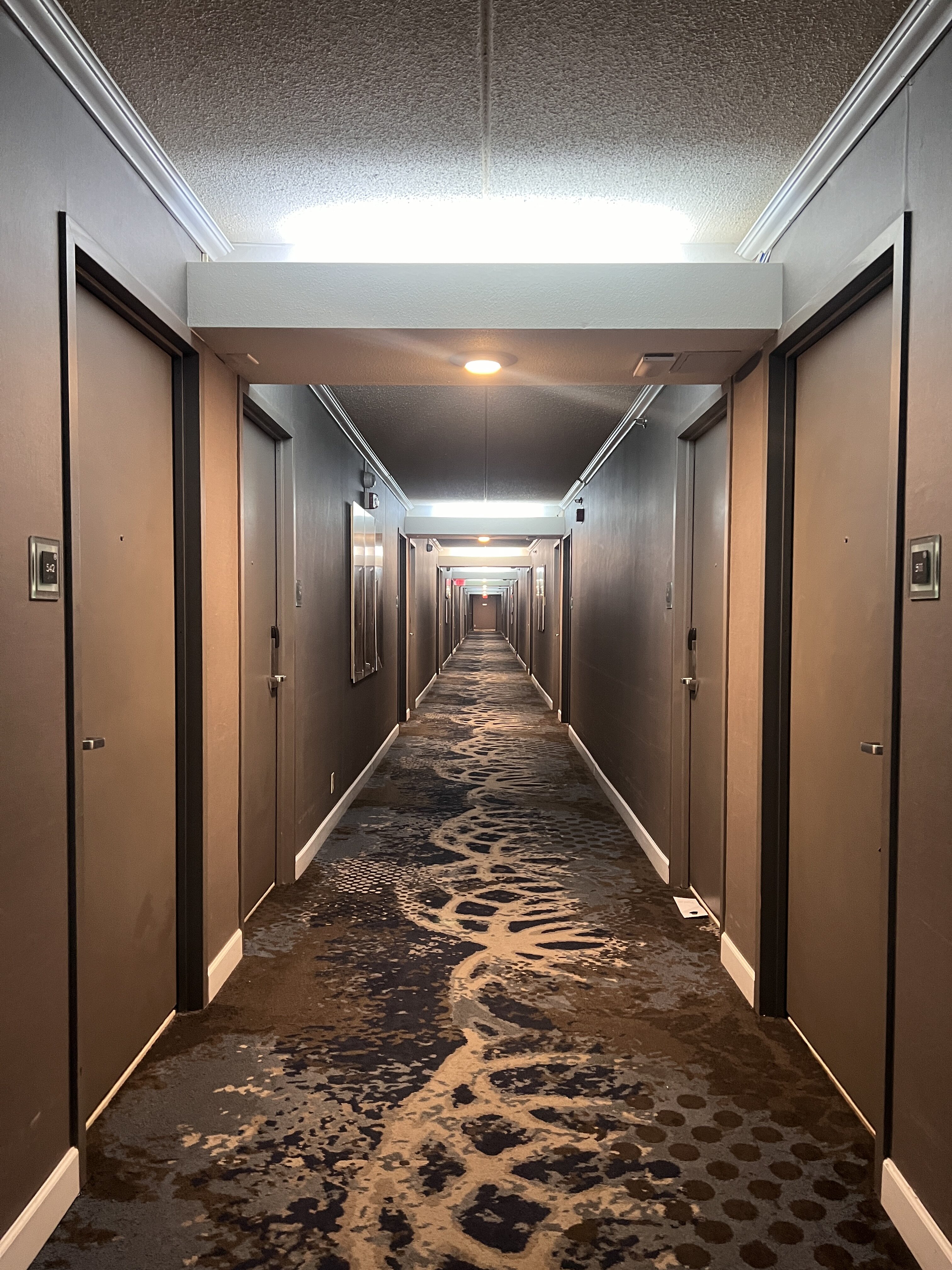 Crowne Plaza Suites MSP Airport Mall of America hallway to room Crowne Plaza Suites MSP Airport Mall of America hallway to room
