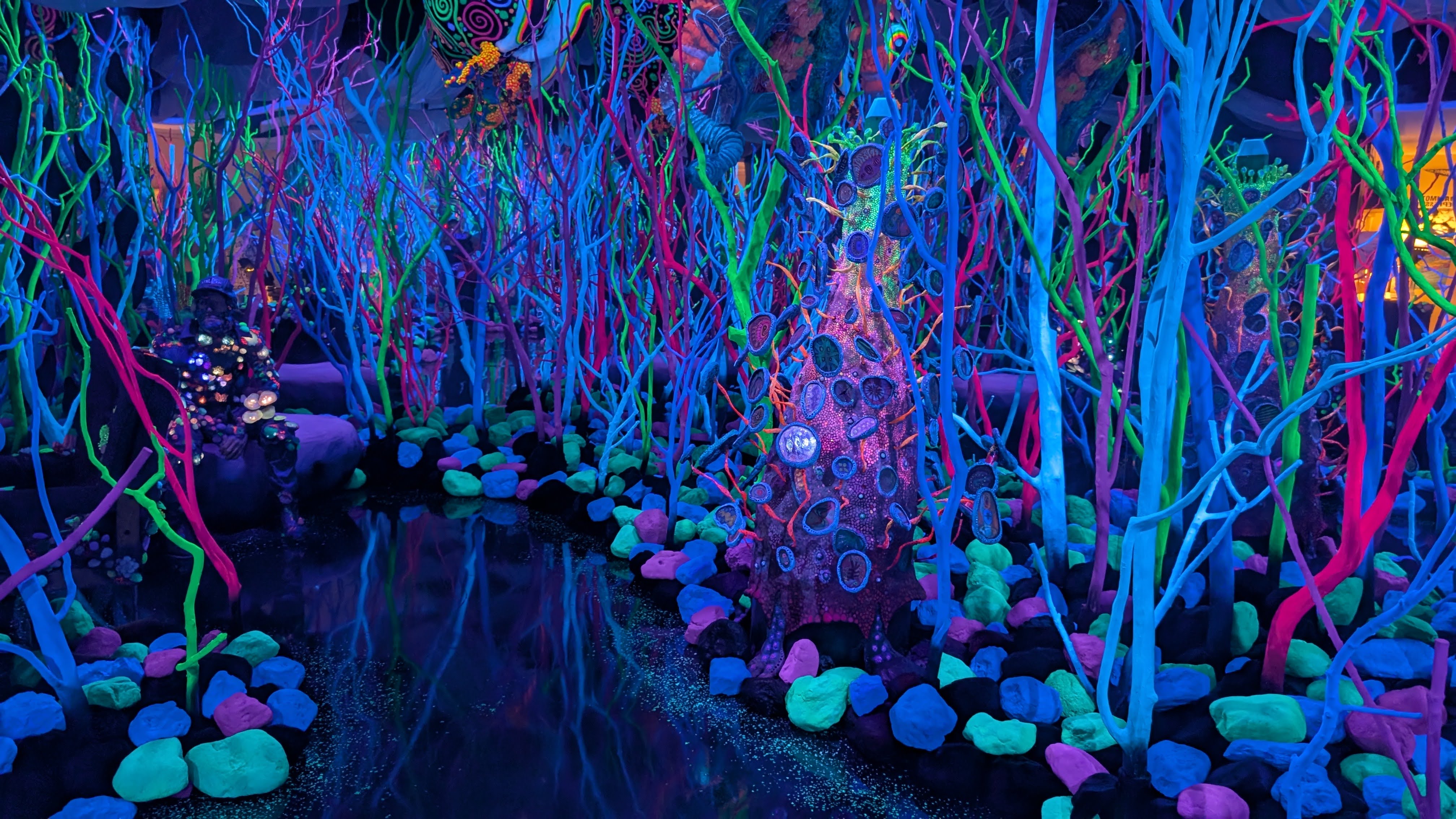 Meow Wolf Houston Glowquarium Meow Wolf Houston Glowquarium