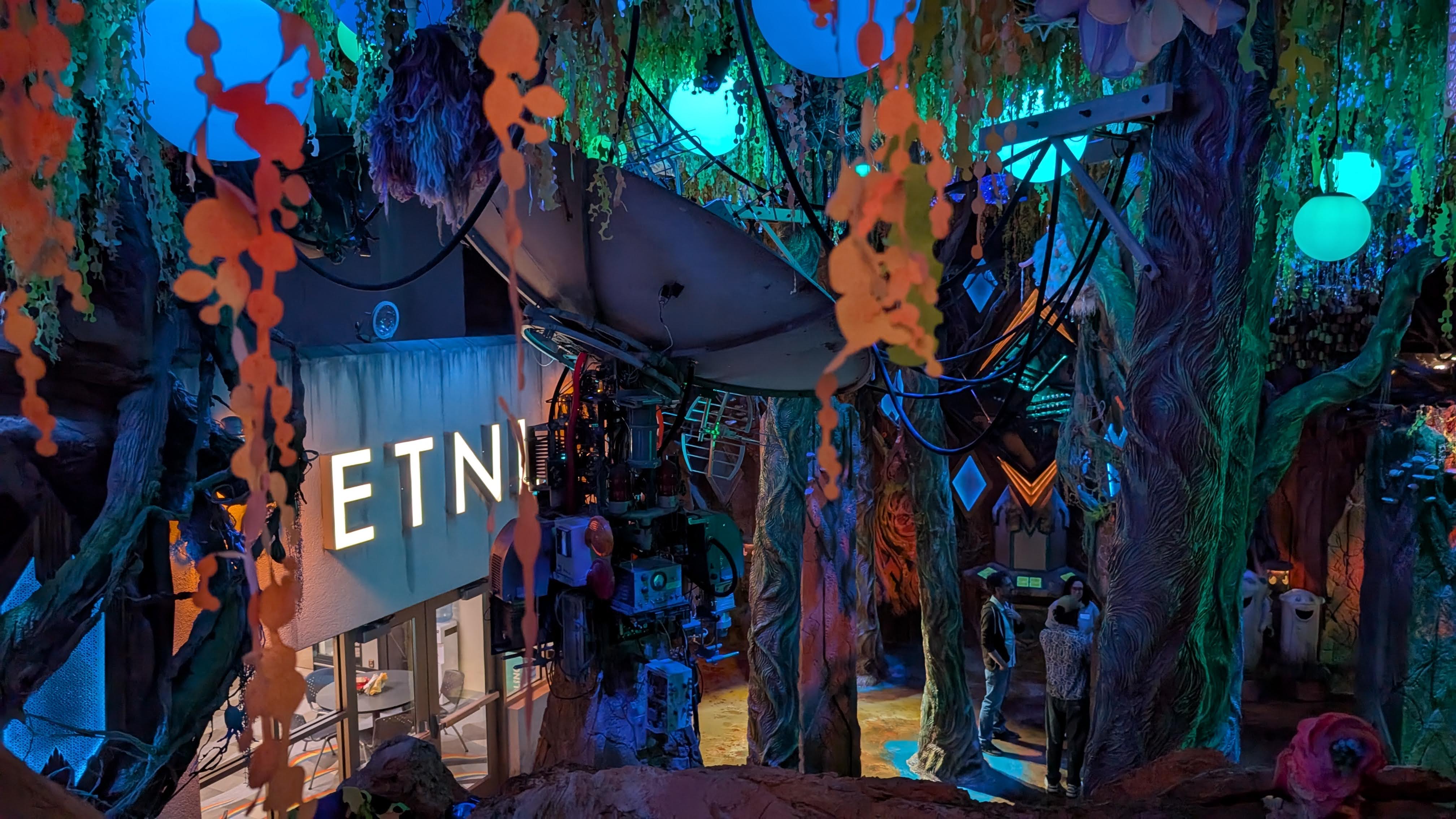 Meow Wolf Houston forest dish Meow Wolf Houston forest dish