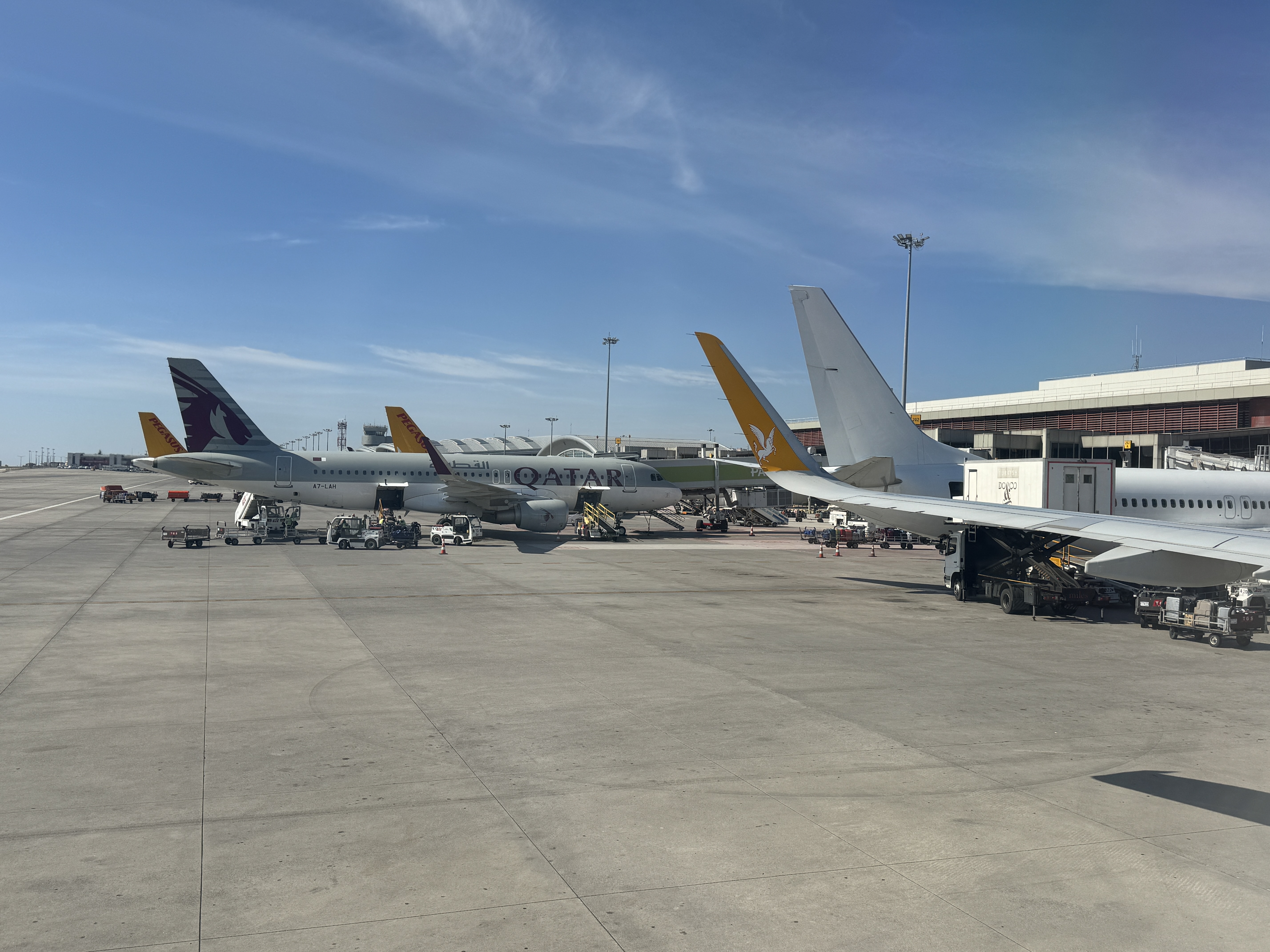 Pegasus ATH SAW planes on arrival Pegasus ATH SAW planes on arrival