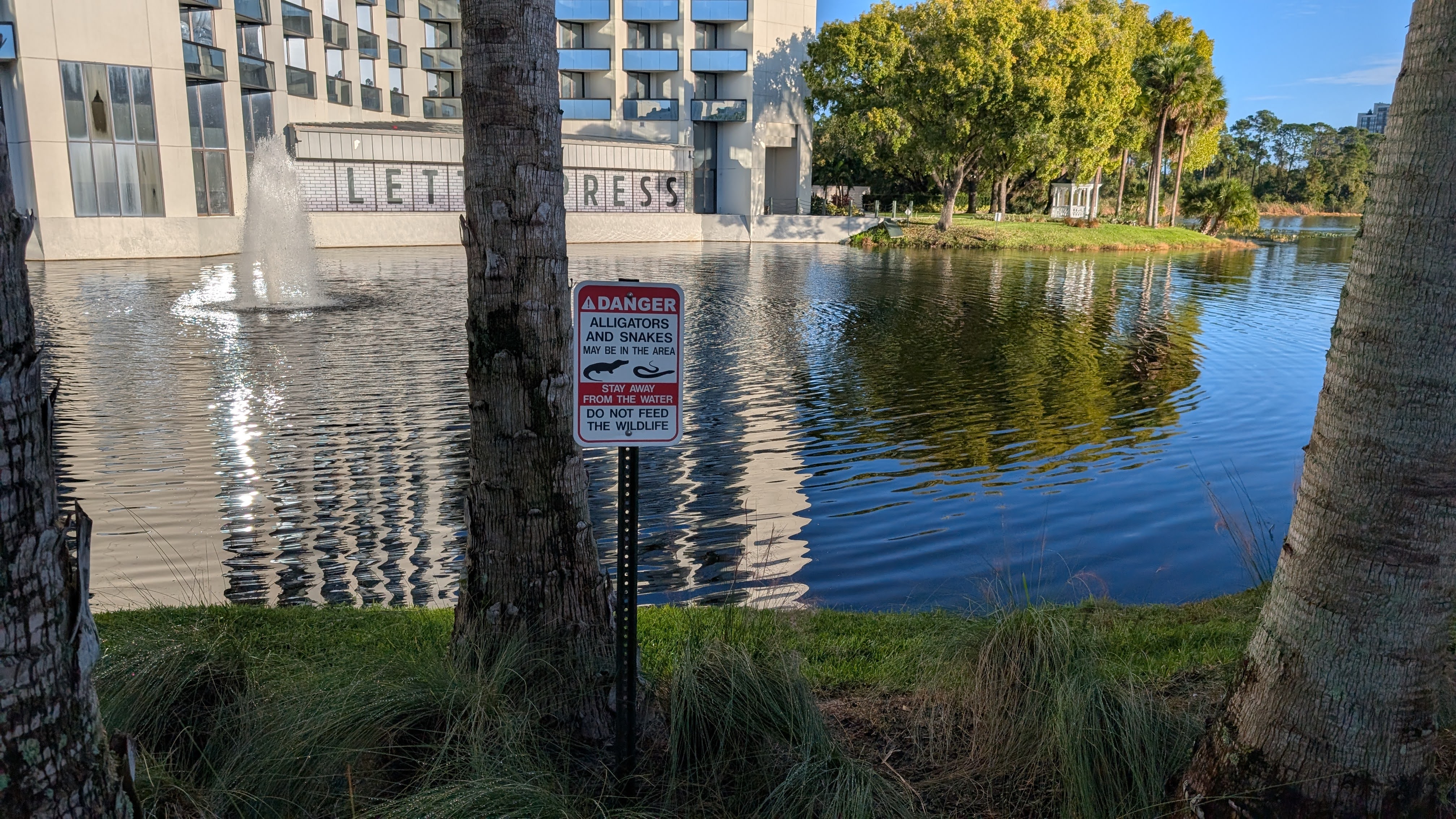 Hilton Buena Vista Palace Orlando alligator warning