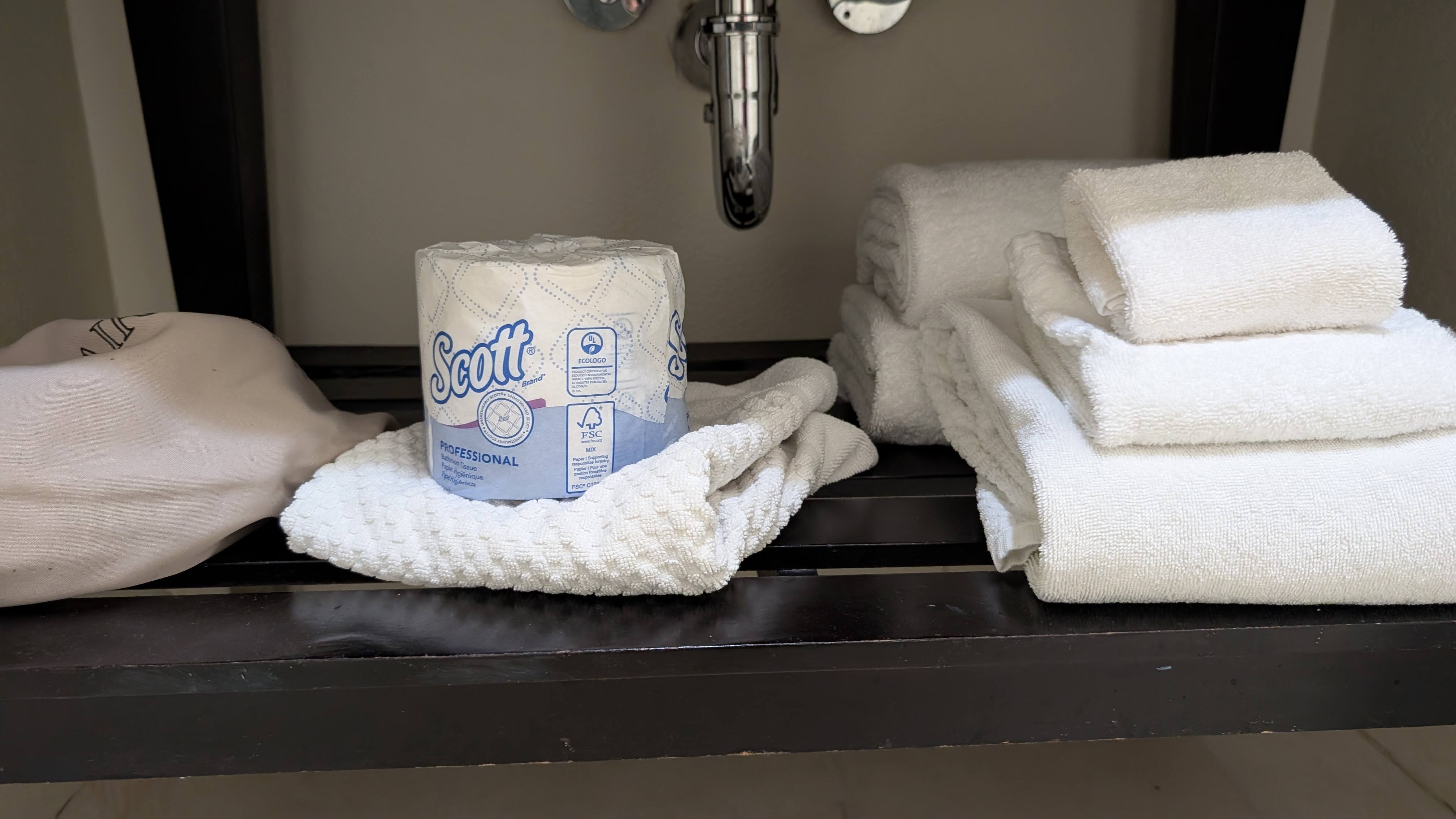Hilton Buena Vista Palace Orlando guestroom bathroom vanity towels
