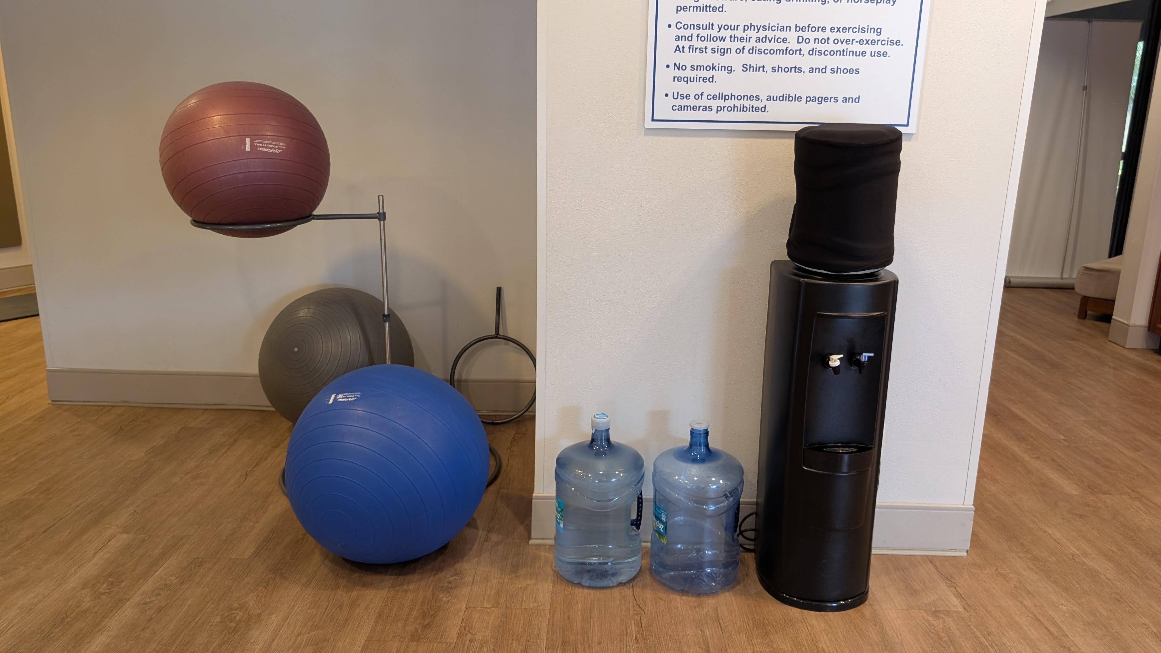 Hilton Orlando Lake Buena Vista amenities fitness center water and balance balls Hilton Orlando Lake Buena Vista amenities fitness center water and balance balls