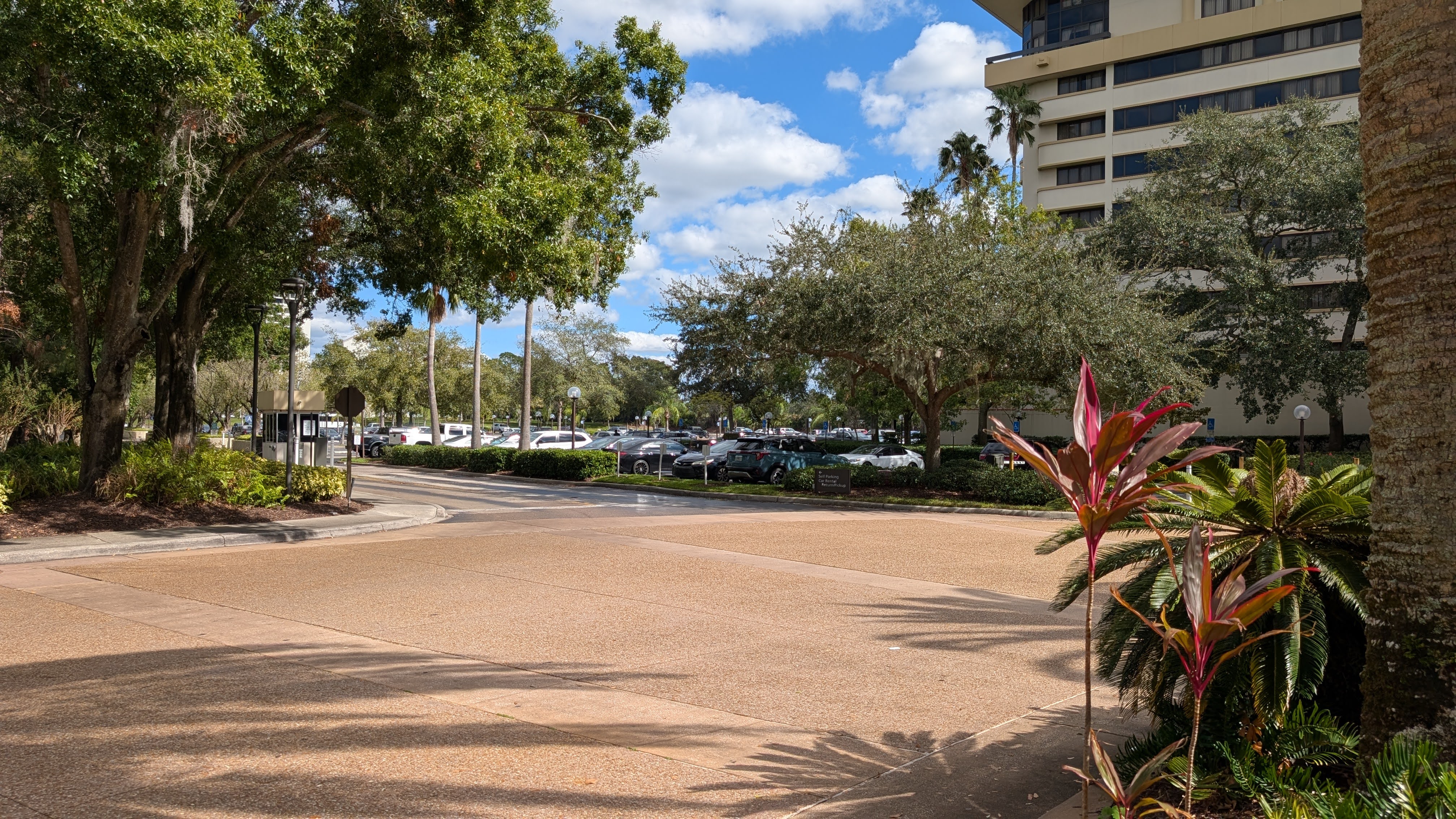 Hilton Orlando Lake Buena Vista amenities parking Hilton Orlando Lake Buena Vista amenities parking