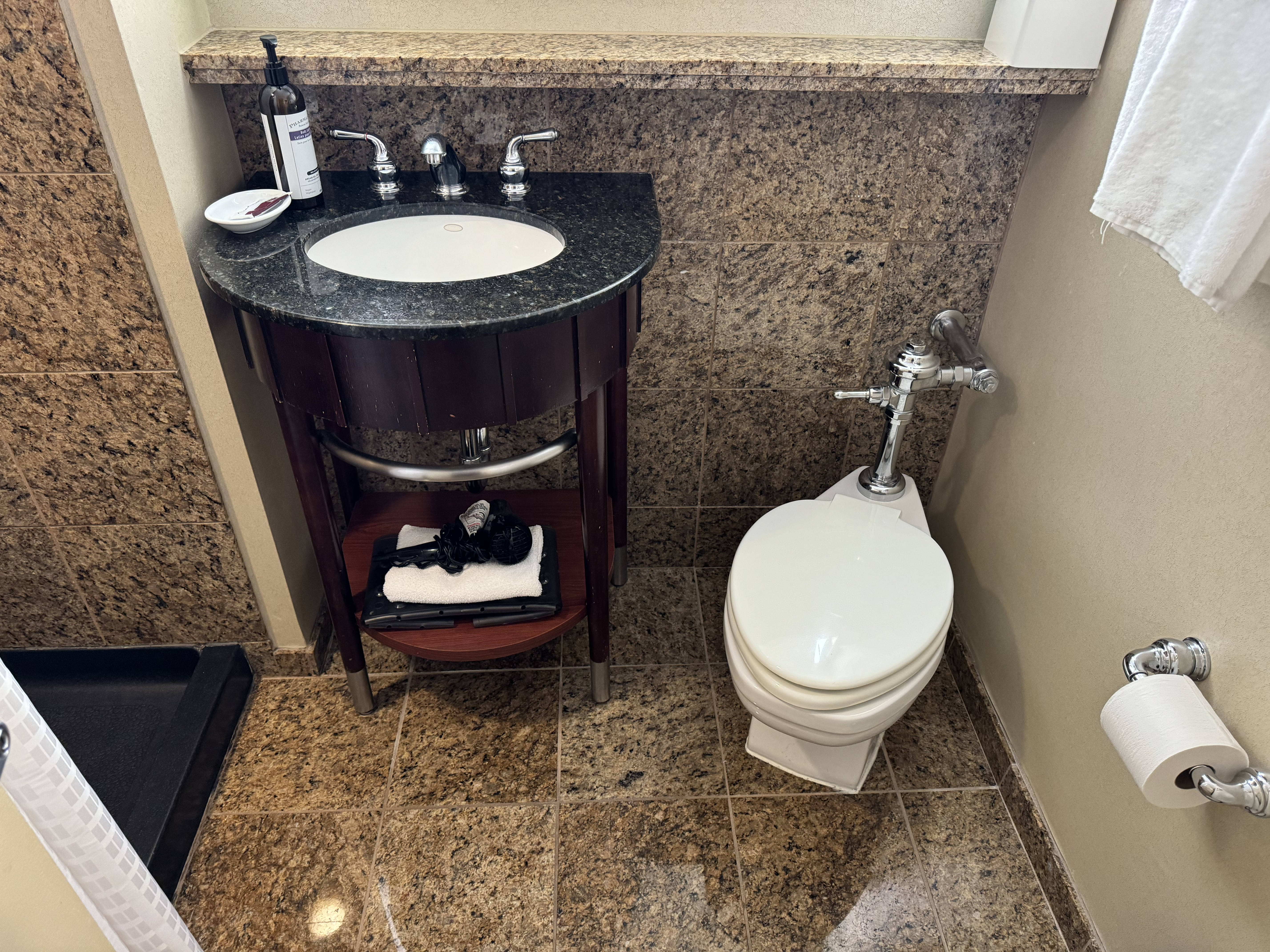 Hyatt Regency OHare Chicago bathroom sink toilet Hyatt Regency OHare Chicago bathroom sink toilet