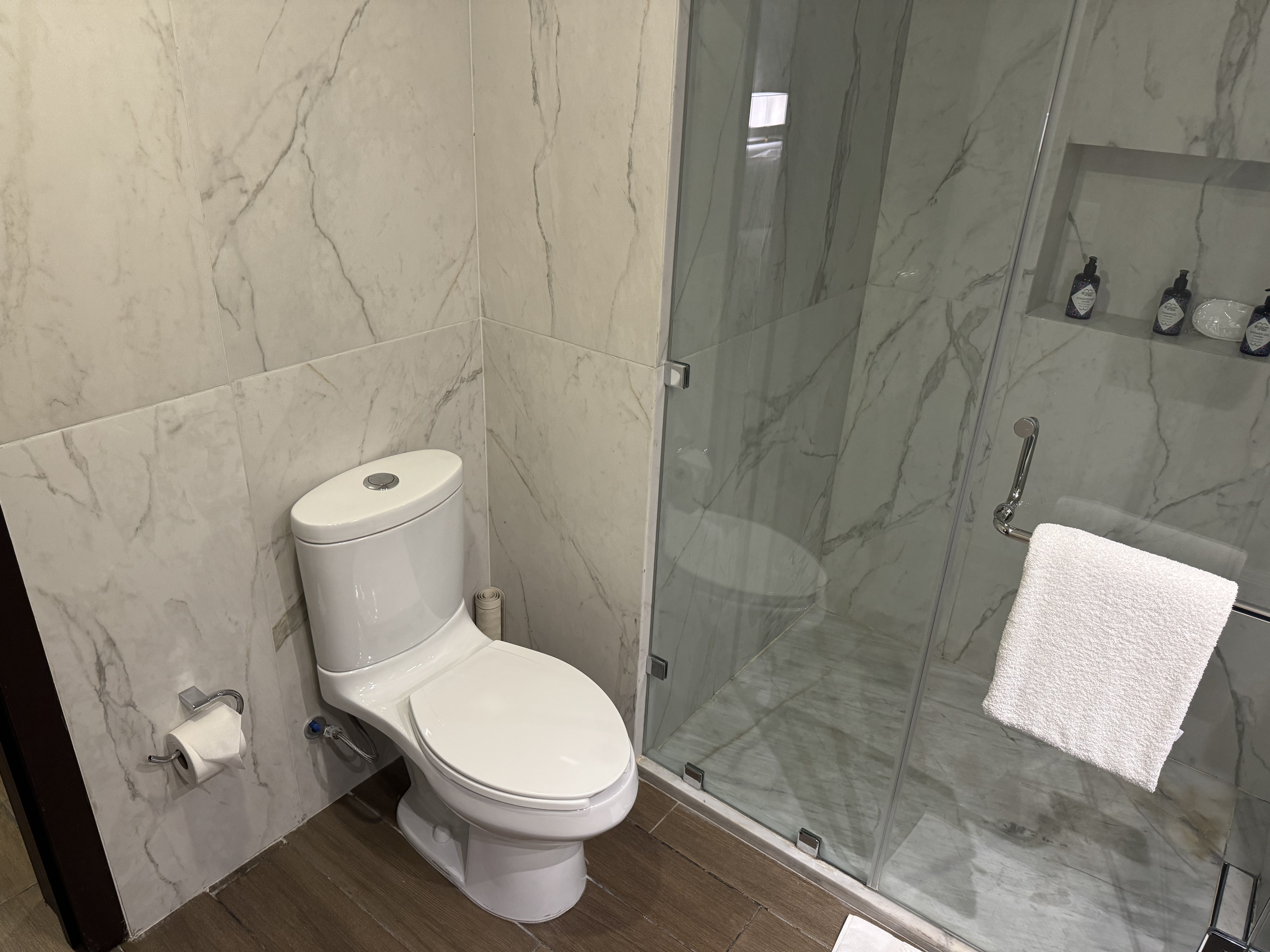 Hyatt Regency Merida bathroom toilet Hyatt Regency Merida bathroom toilet