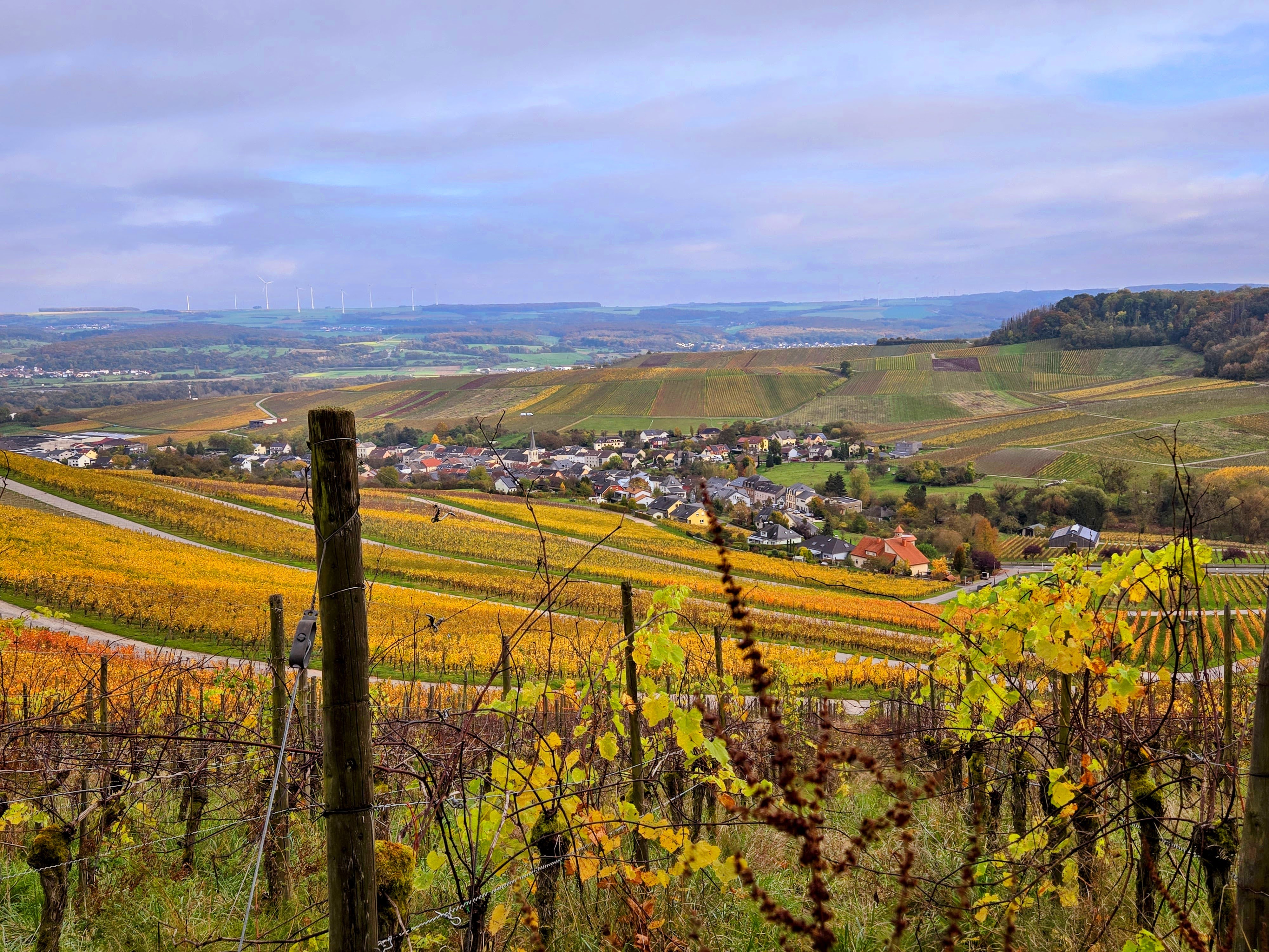 Luxembourg Wine Country