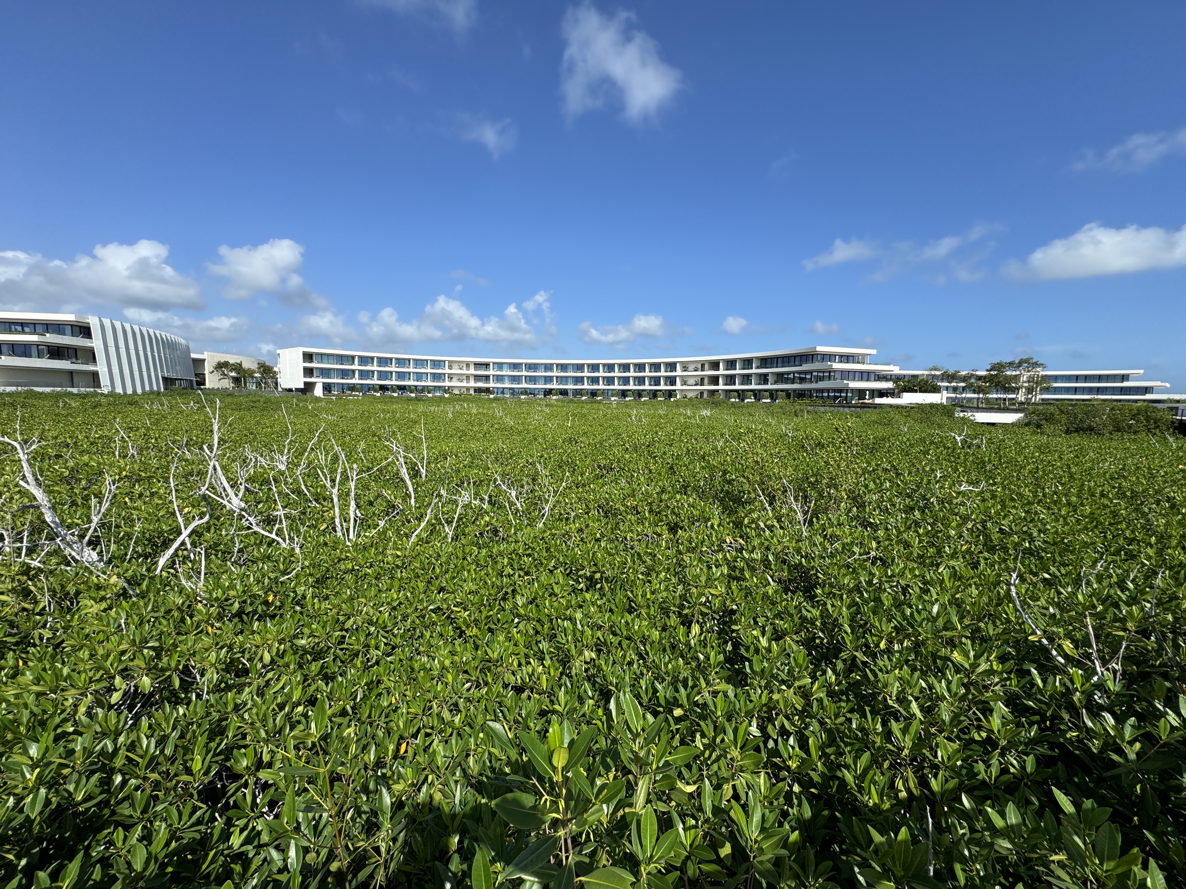 St. Regis Kanai mangroves St. Regis Kanai mangroves